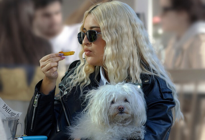 c374697f-8cd6-43f7-8449-dbaa2a0666f9