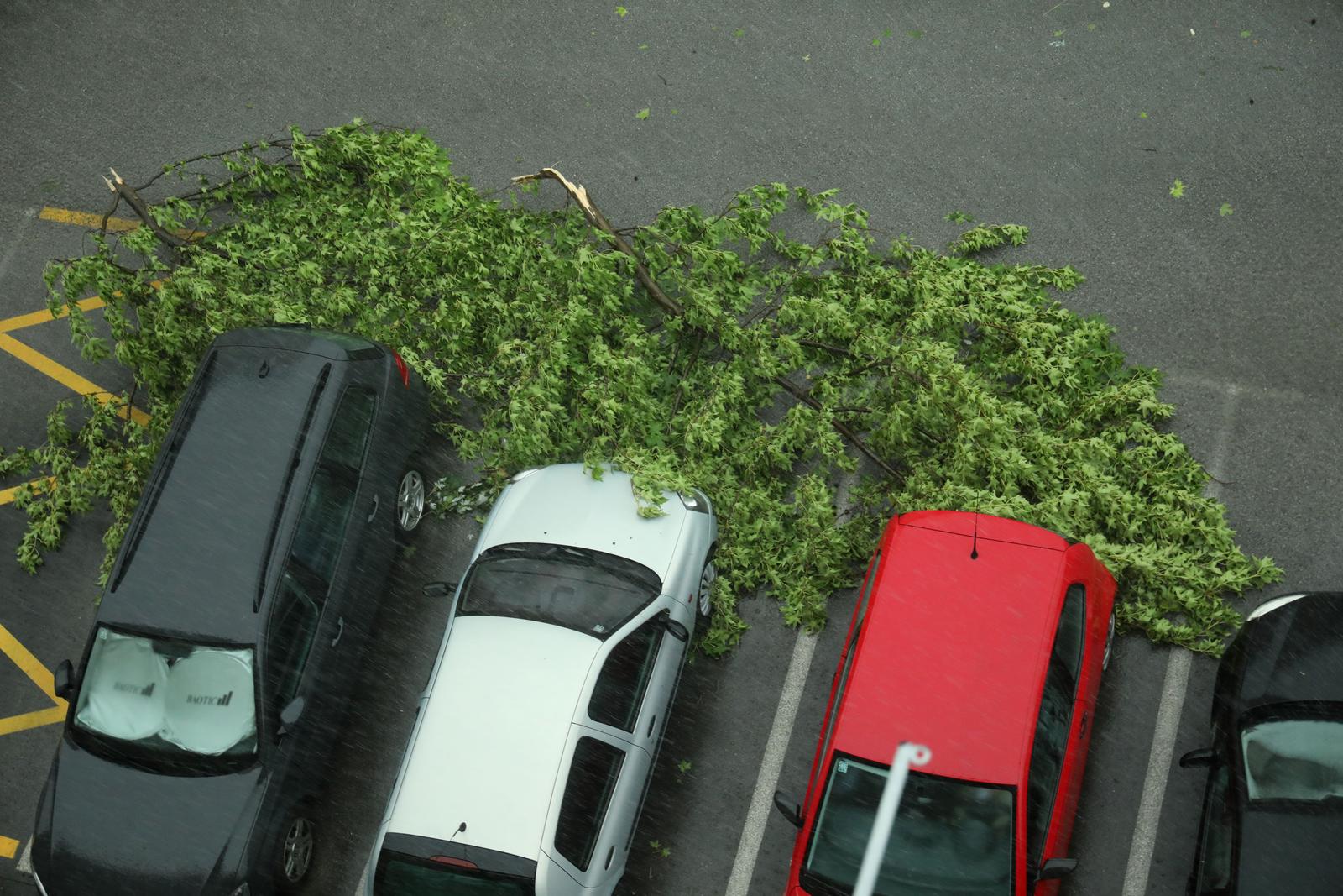 Emica Elvedji/Pixsell