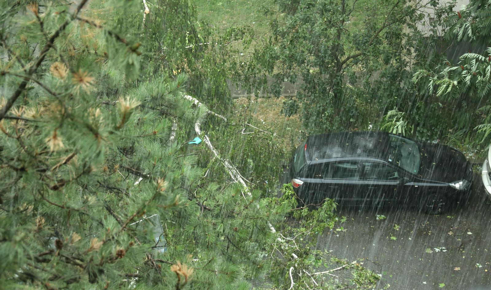 Emica Elvedji/Pixsell