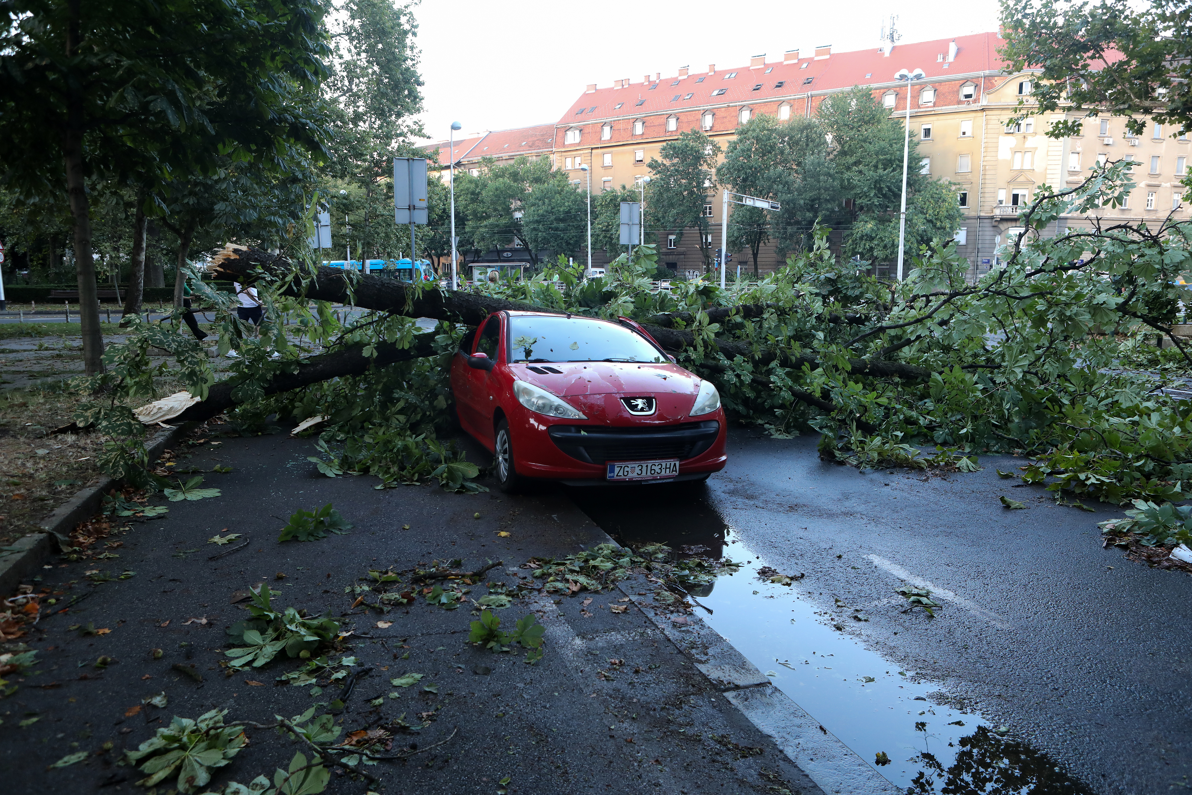Zagreb: Stablo je palo na auto na Trgu kralja Petra Krešimira