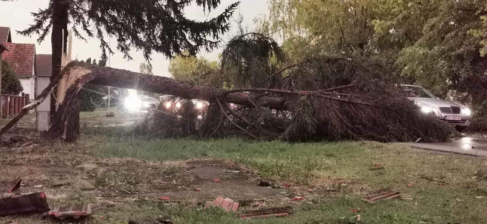 WhatsApp Image 2023-07-19 at 21.48.37