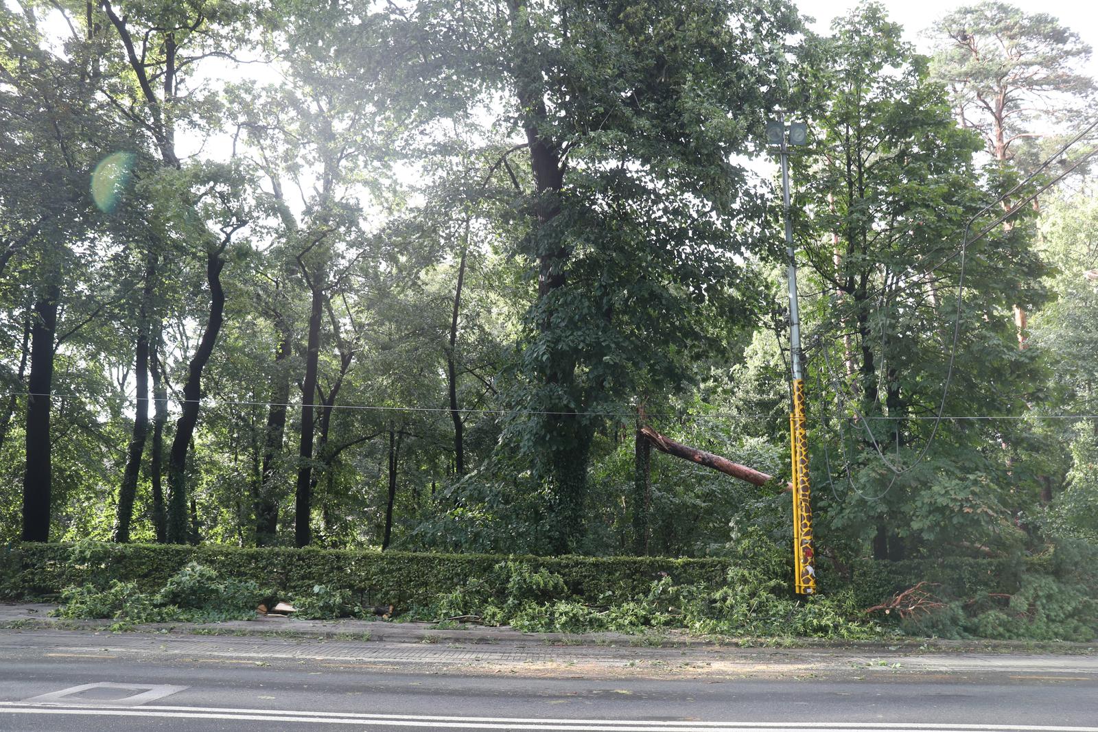 Zagreb: Nakon oluje obustavljen promet na Maksimirskoj