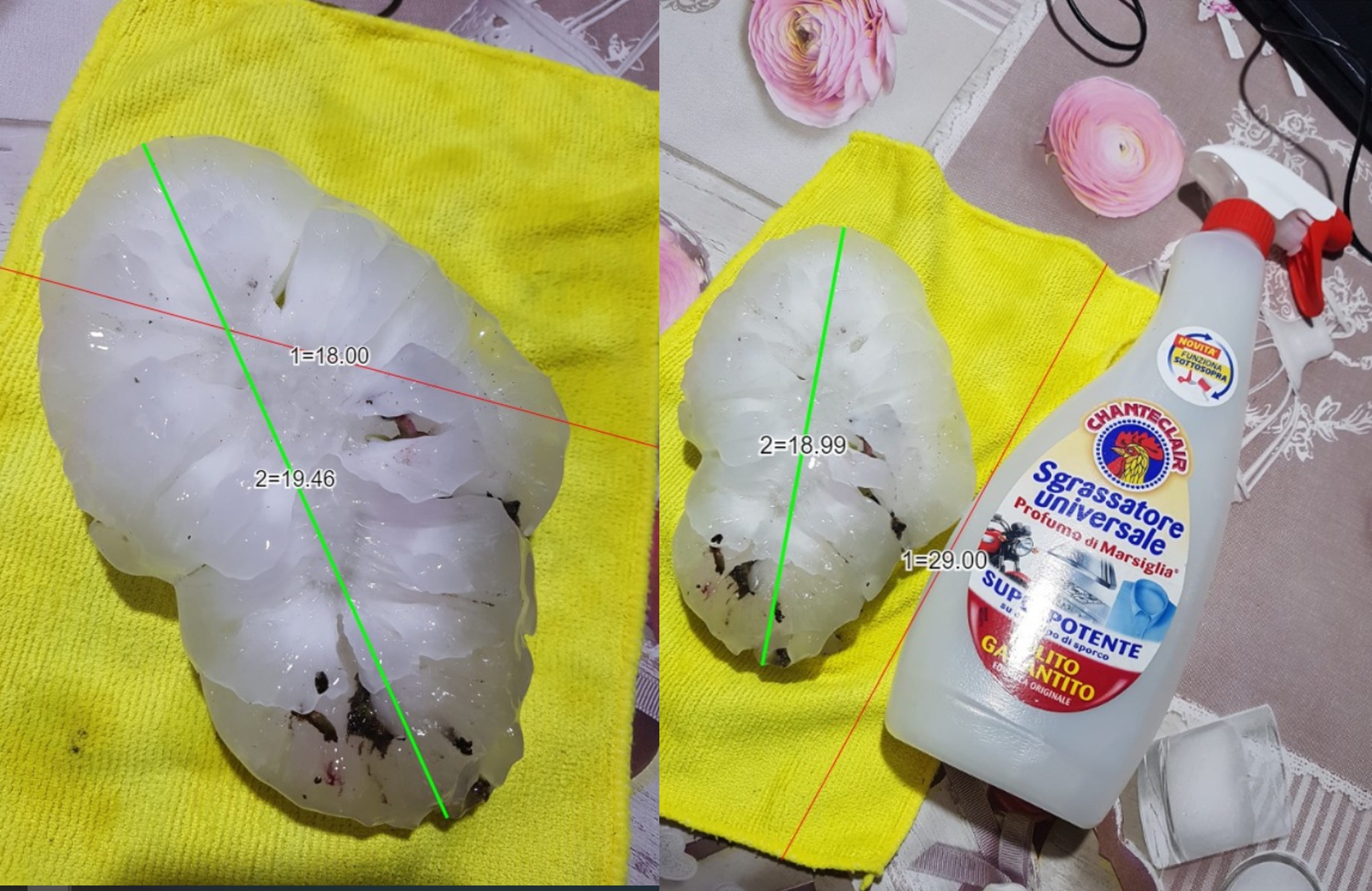 rekordna tuča u Italiji