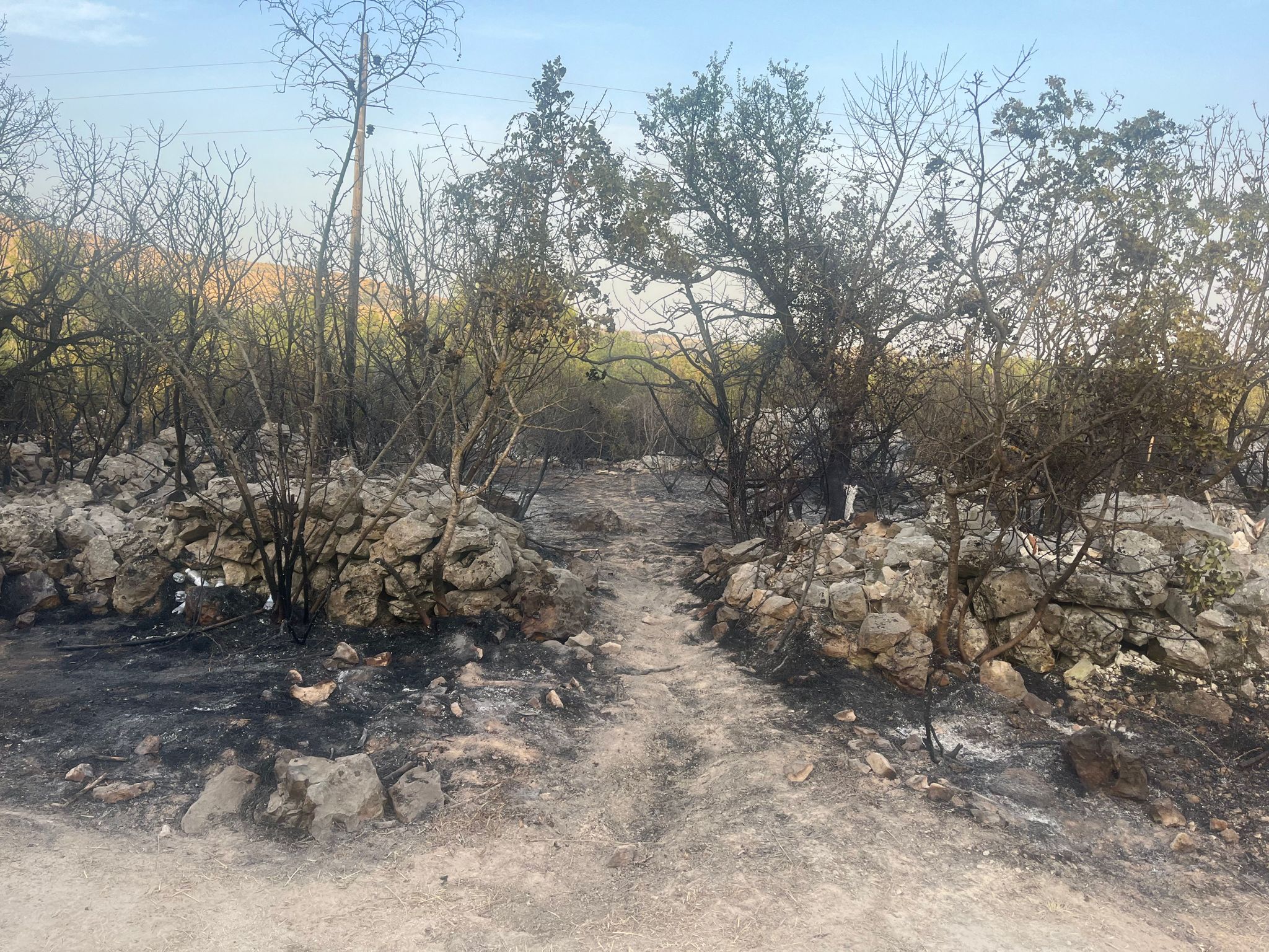 požarište Seget Gornji Trogir požar