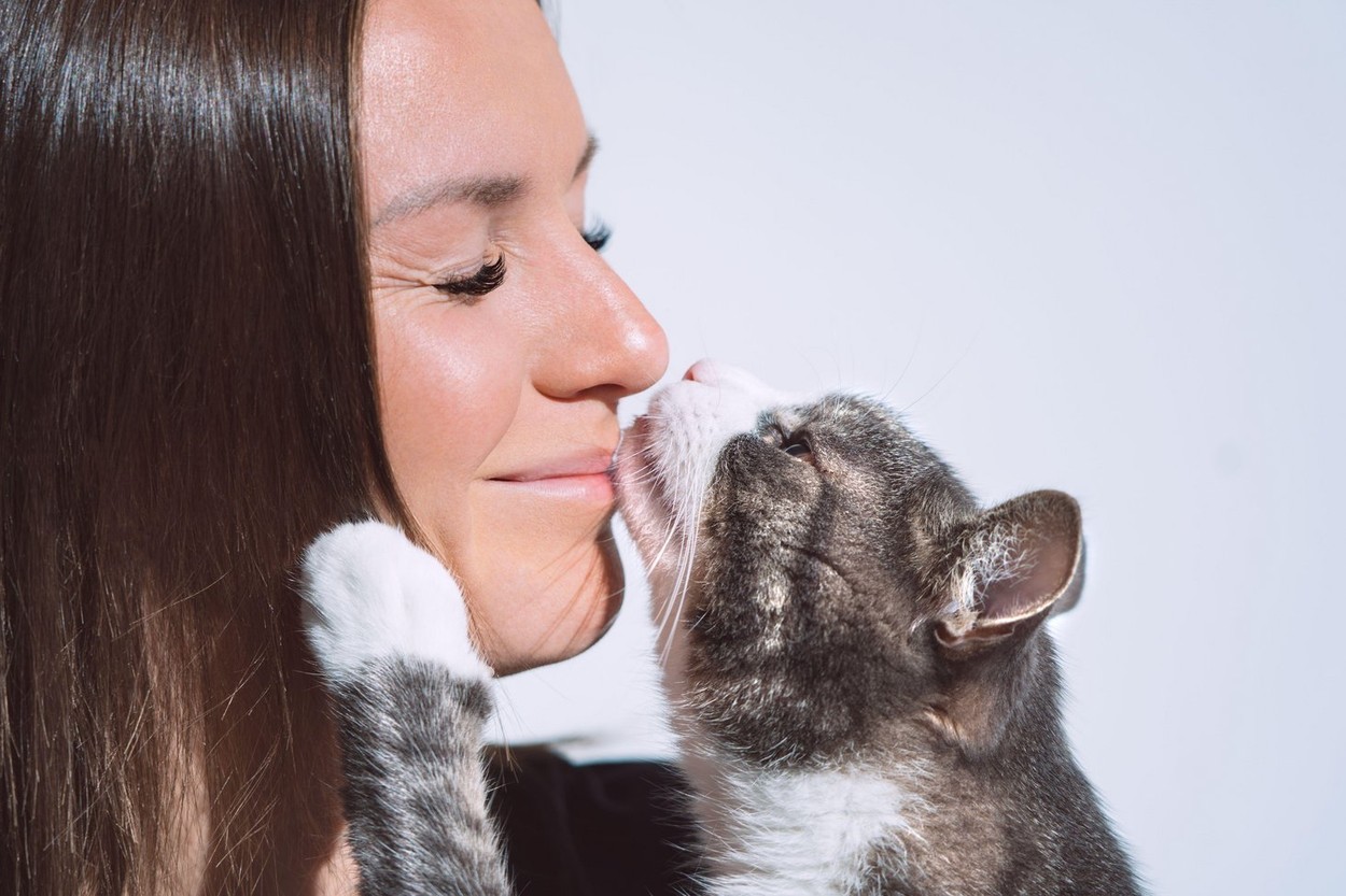 Cute cat kissing woman's nose. Pets love, friendship, trust and lifestyle concept.