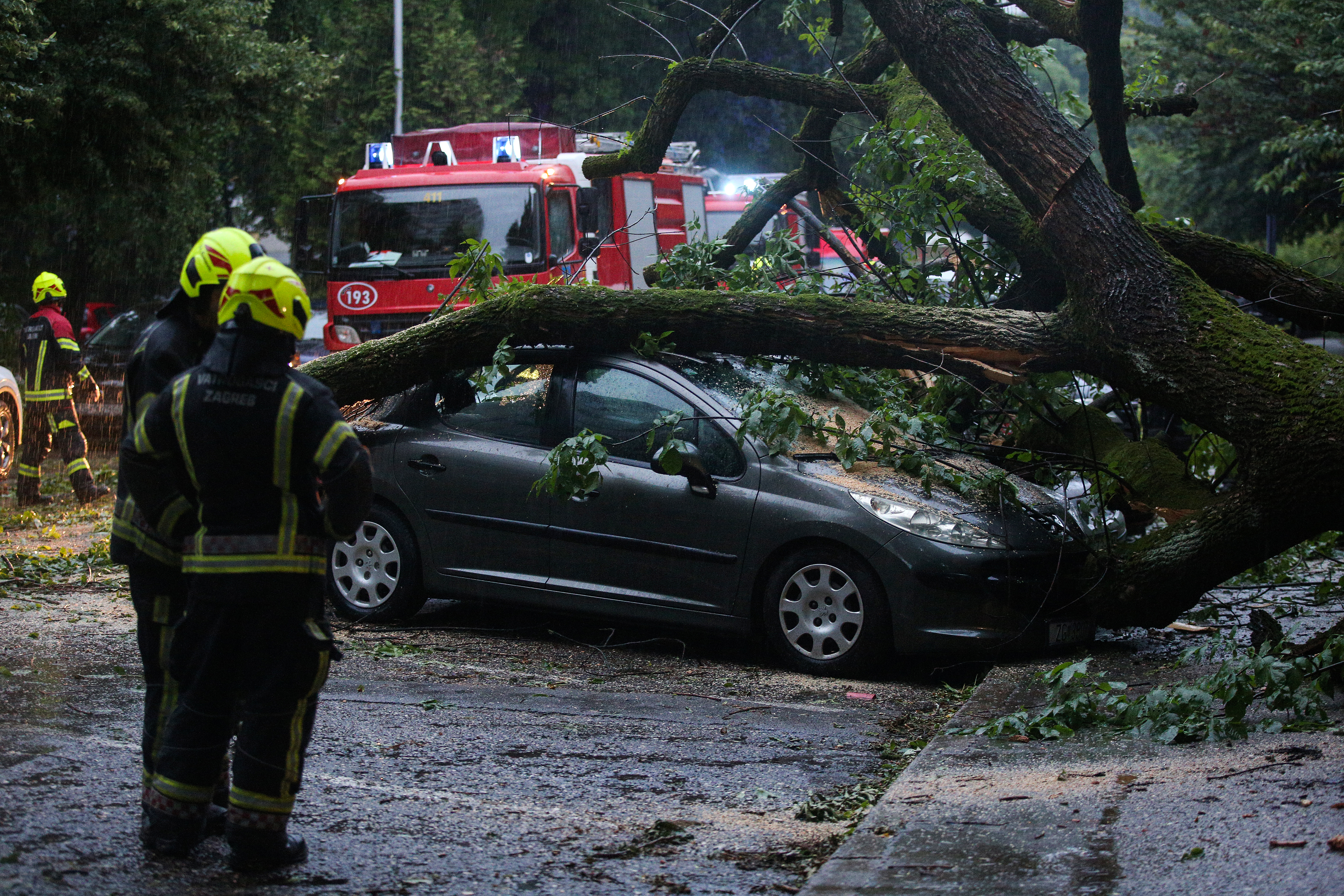 Zagreb: Na parkirane automobile u Trnskom srušilo se stablo