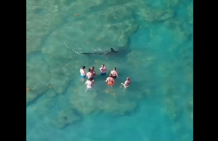 1690977367-ajkula-750x486