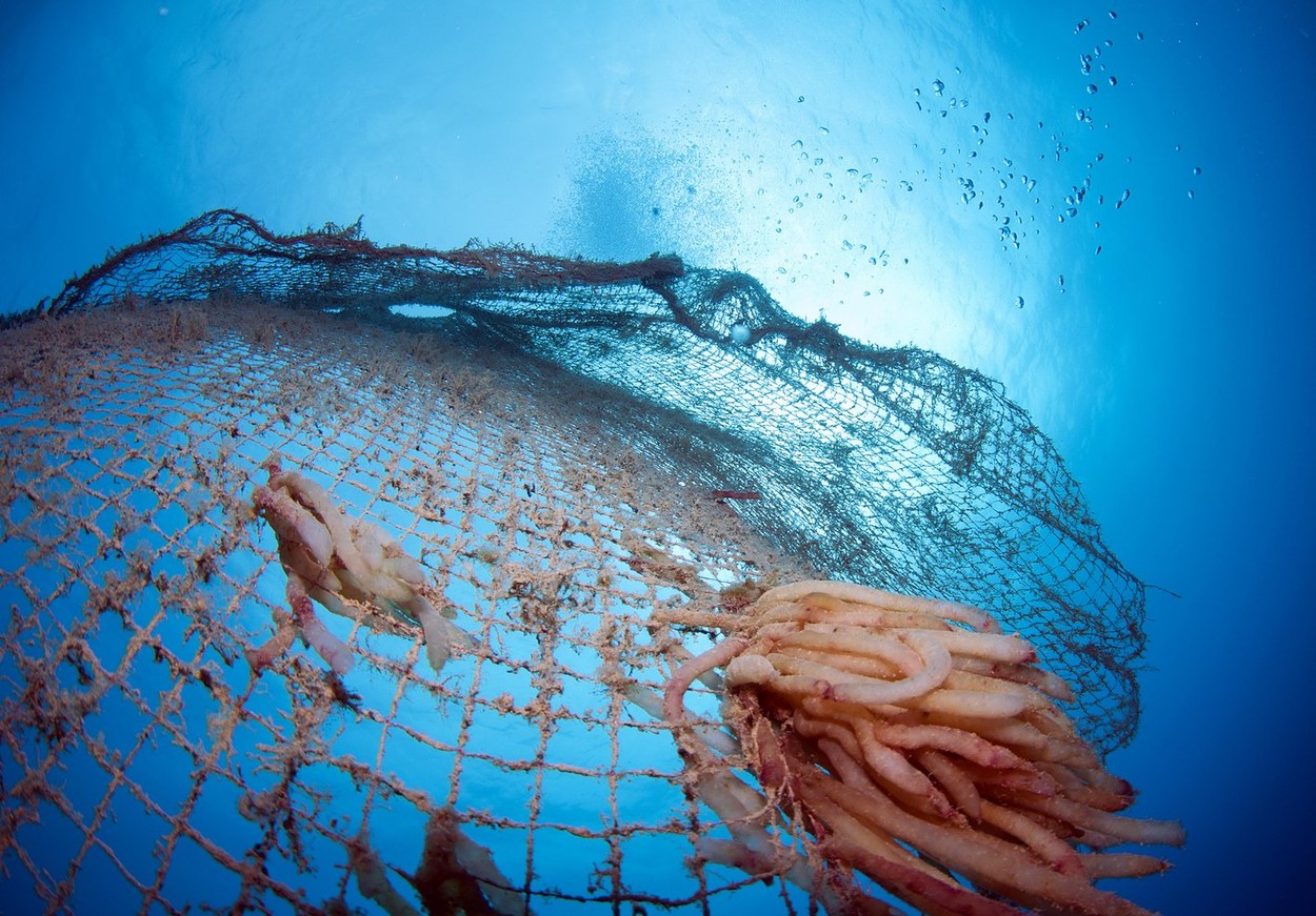 old abandoned fishing net with squid eggs