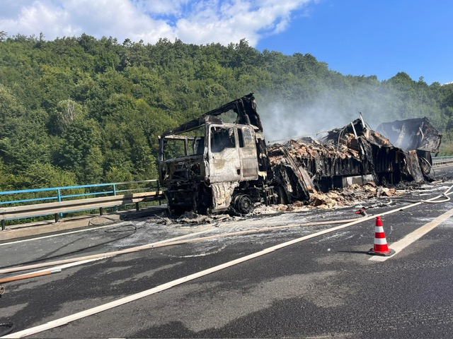 PHOTO-2023-08-03-09-53-39 (1)