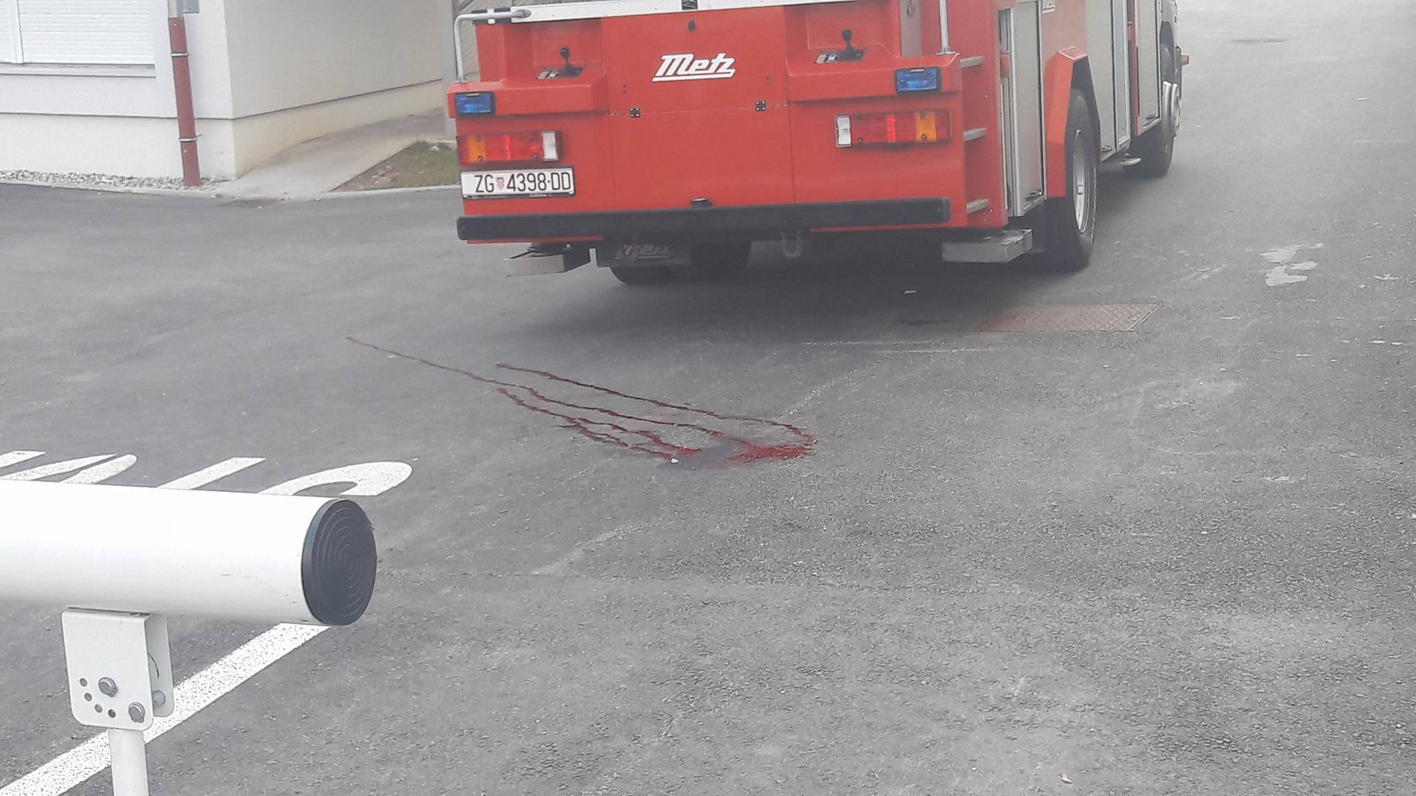 16910878_1929408880623847_132321522_o