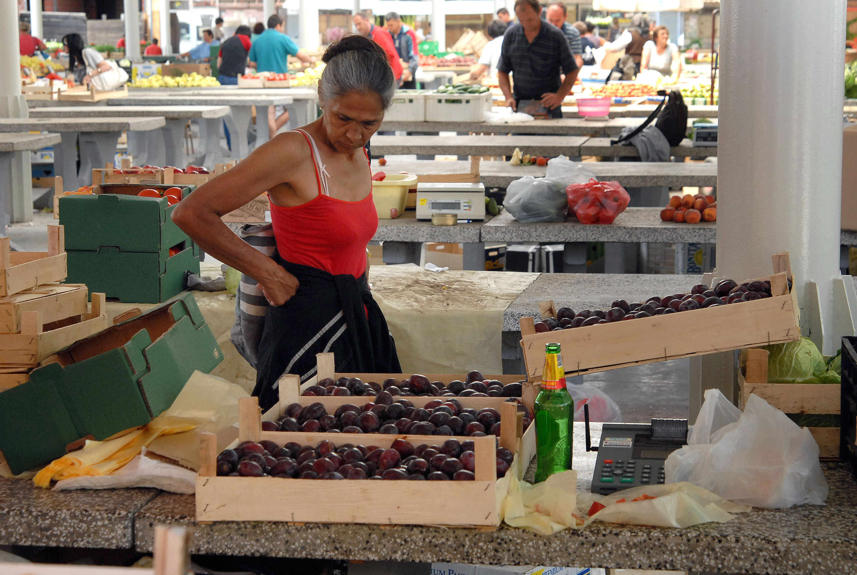 Slavonski Brod: Cijene vo?a i povr?a na gradskoj trnici