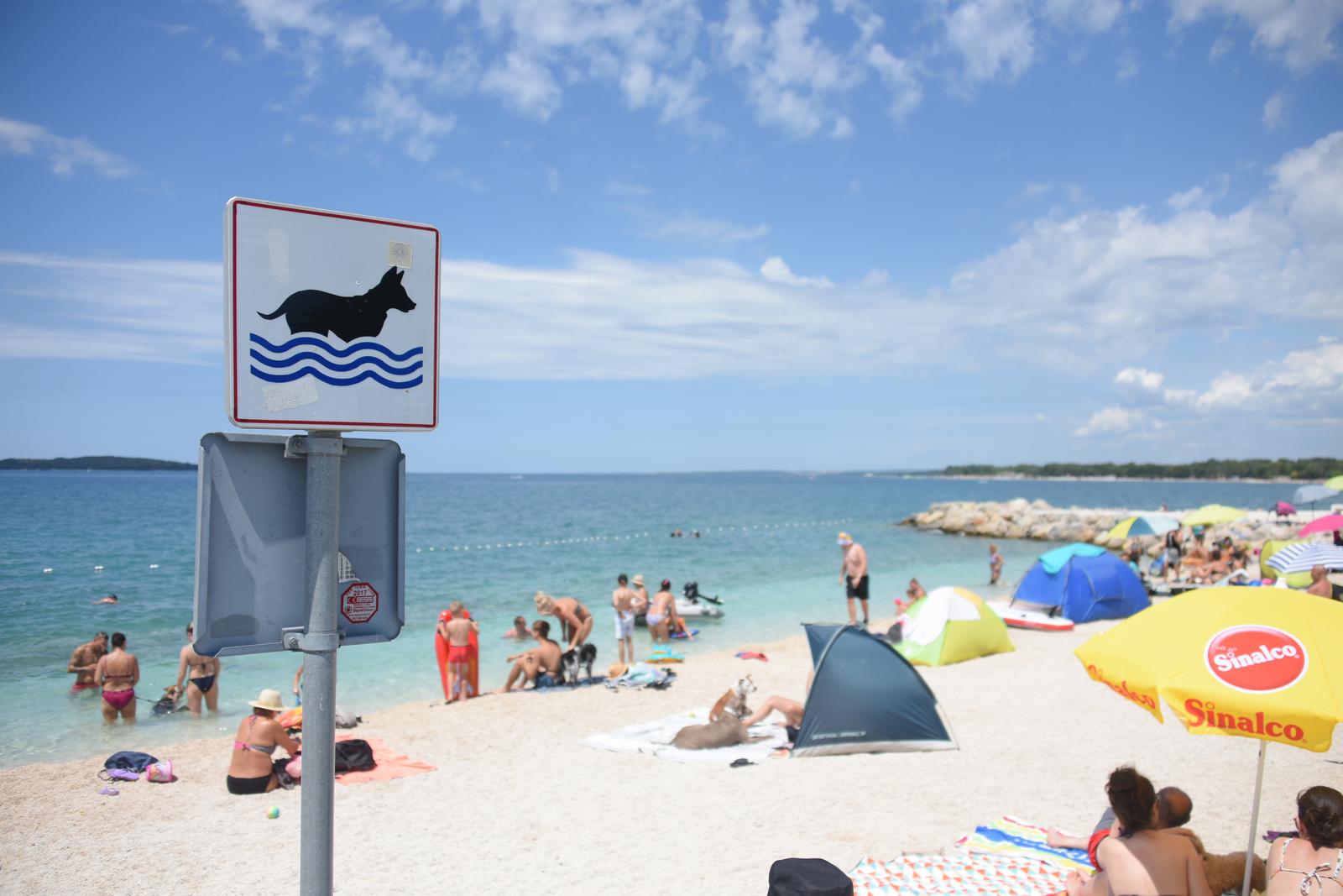 Pula: Na pulskoj Hidrobazi četveronožni ljubimci dobili svoj beach bar