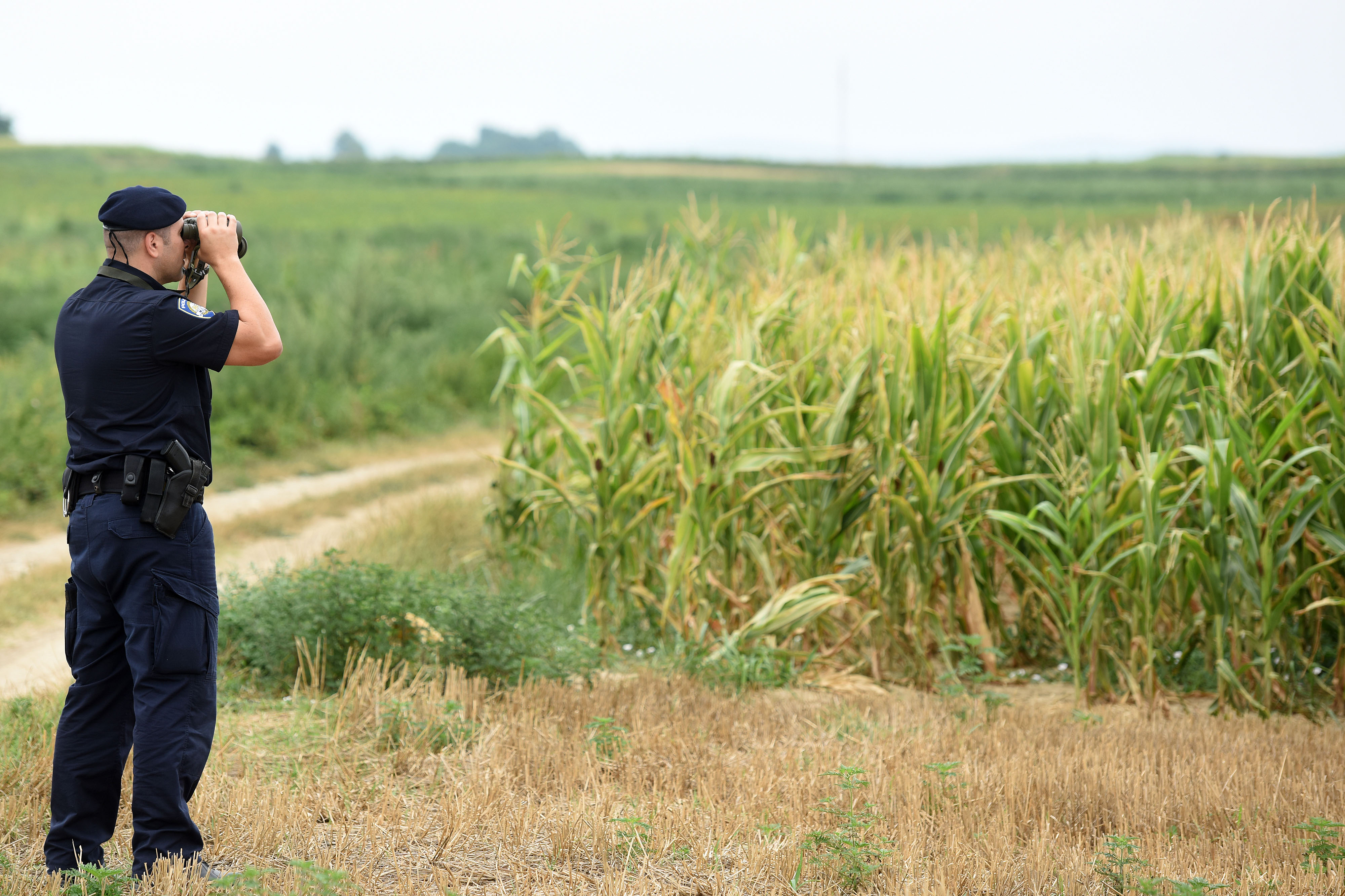 Policijske patrole po me?imurskim poljima gdje se kradu povrtne kulture
