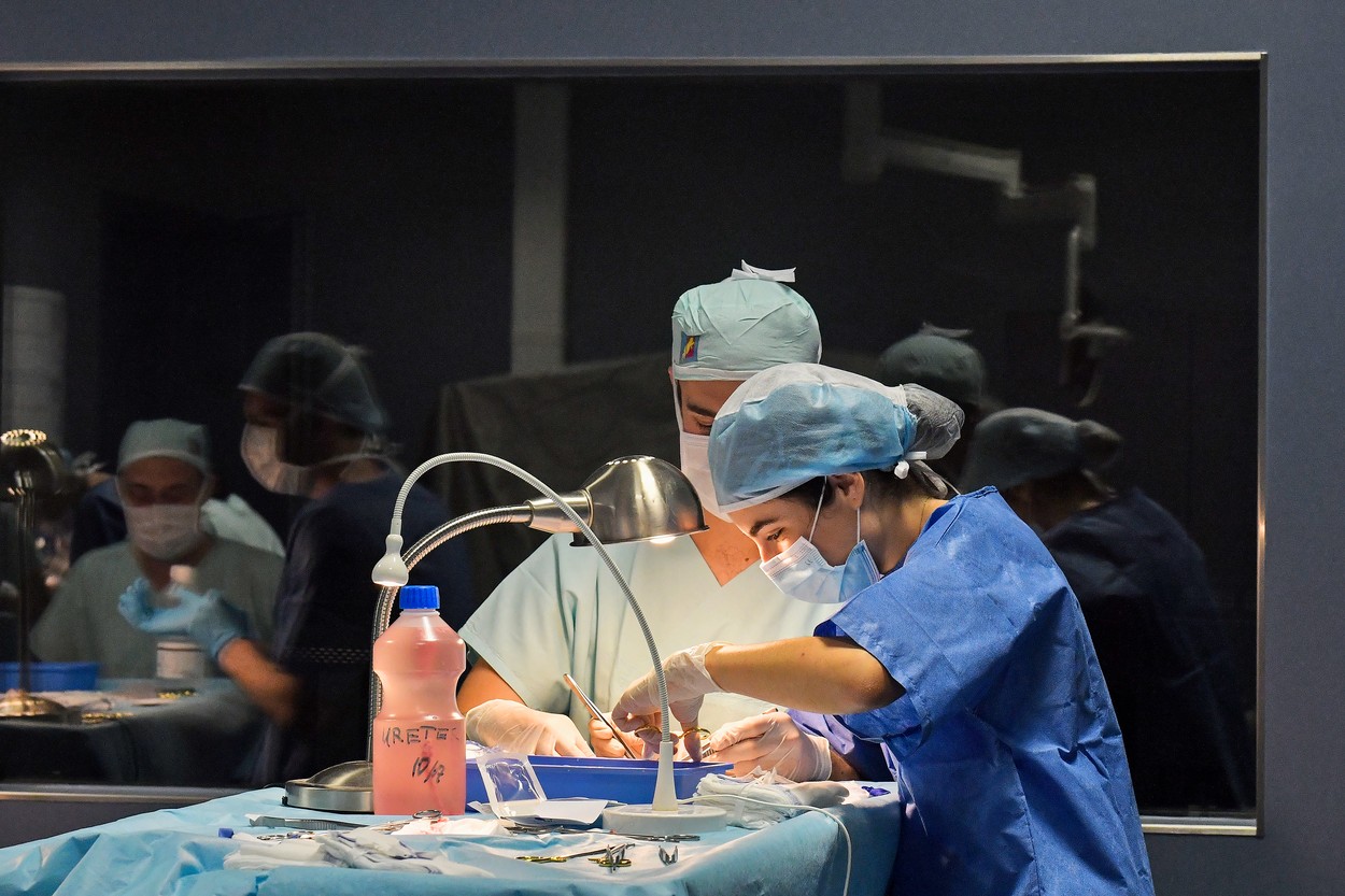 Mezinárodní letní škola experimentální chirurgie, Lékařská fakulta UK v Plzni, chirurgie, operace, operační sál