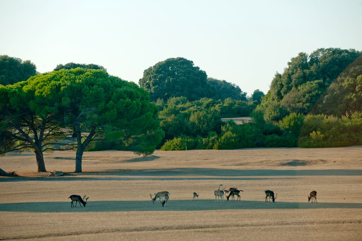 Rainer Hackenberg / akg-images / Profimedia