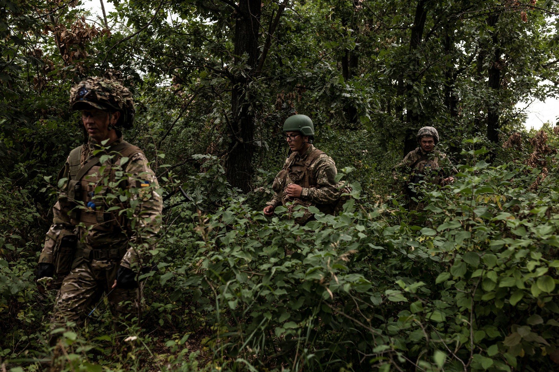 profimedia-0791474086