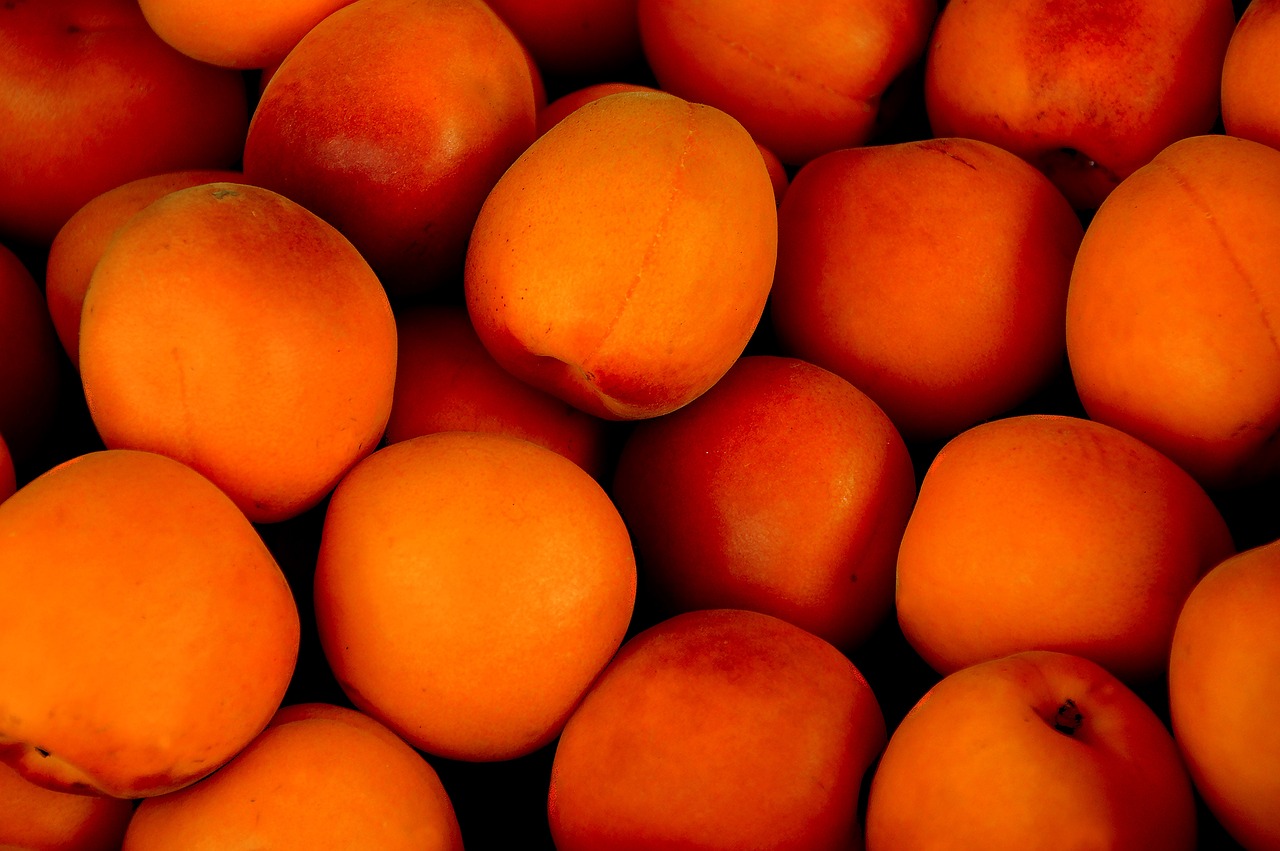 apricots-1556851_1280