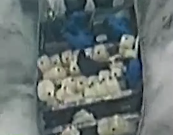 Potjera, kokain, Meksiko