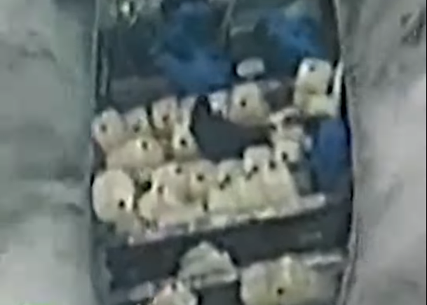 Meksiko, Kokain, Potjera