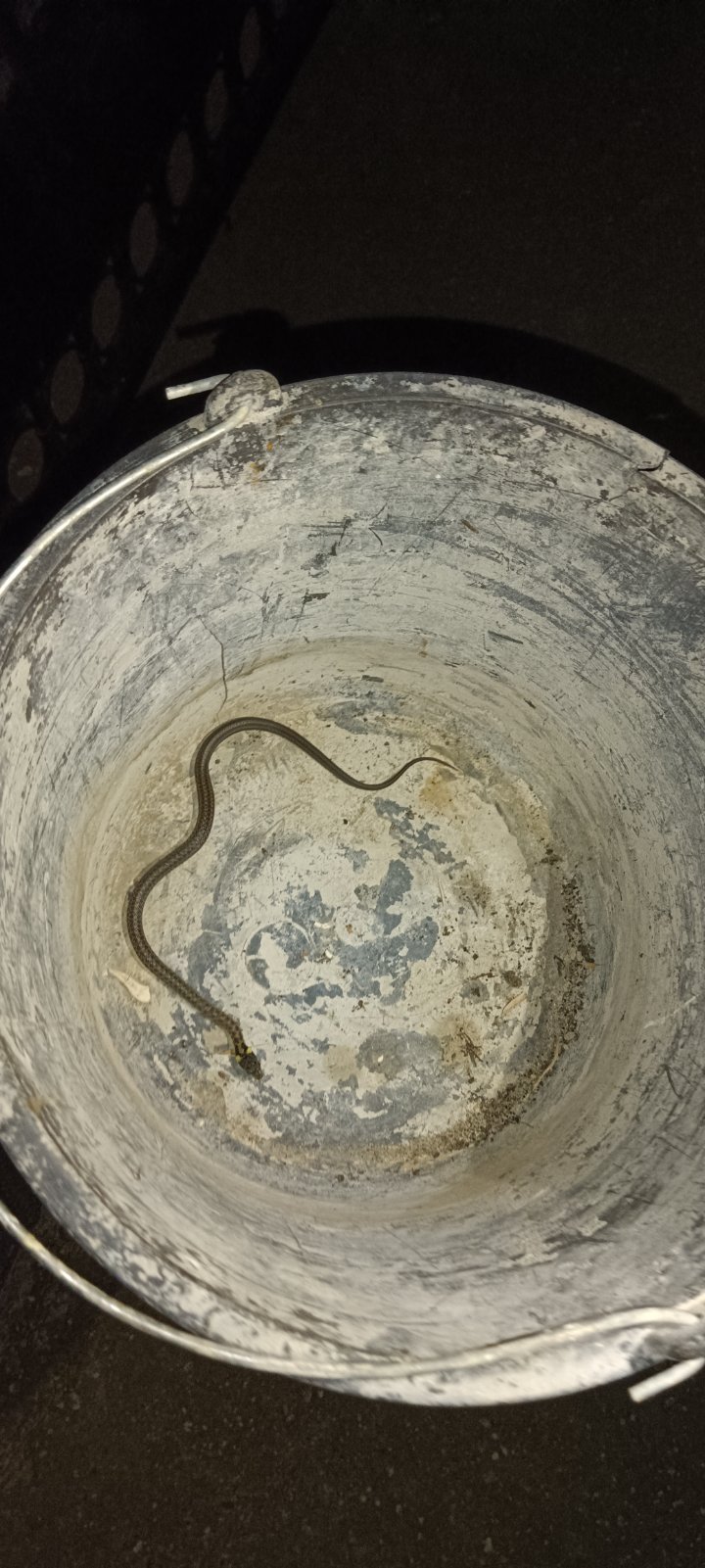 1693433810-IMG-d15c706763dd5a23d503247cc78c060a-V