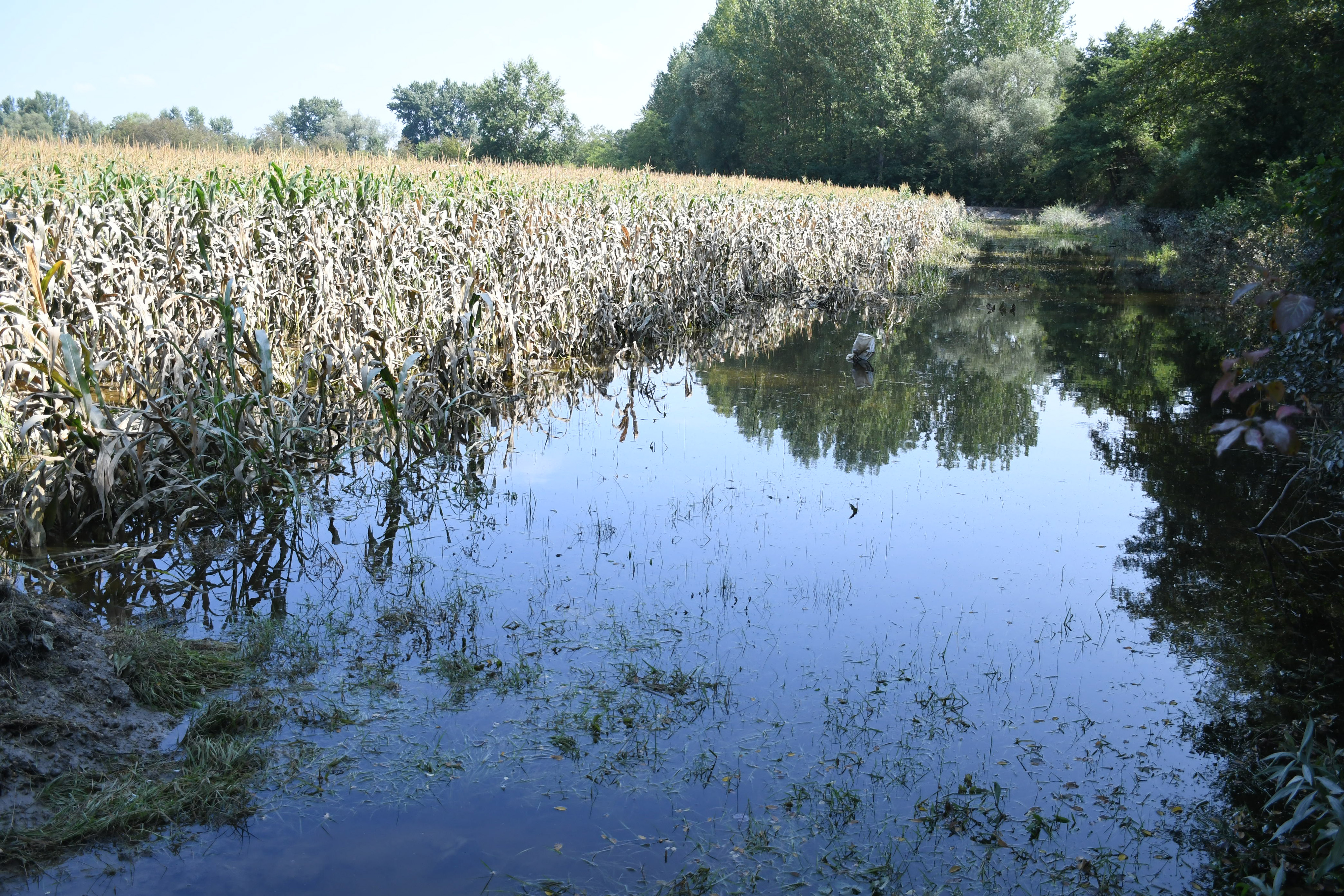 I nakon deset dana posljedice poplave Drave kod Repaša su vidljive