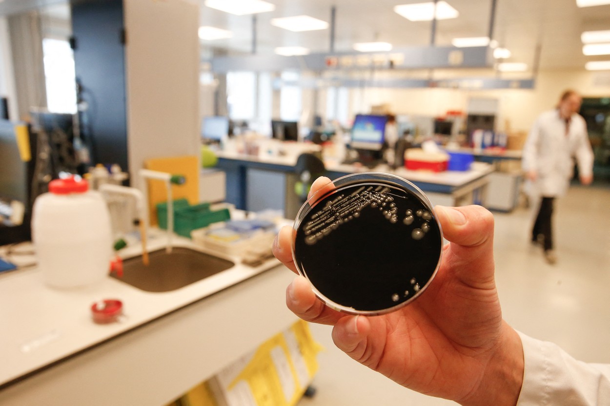 profimedia-0434056867