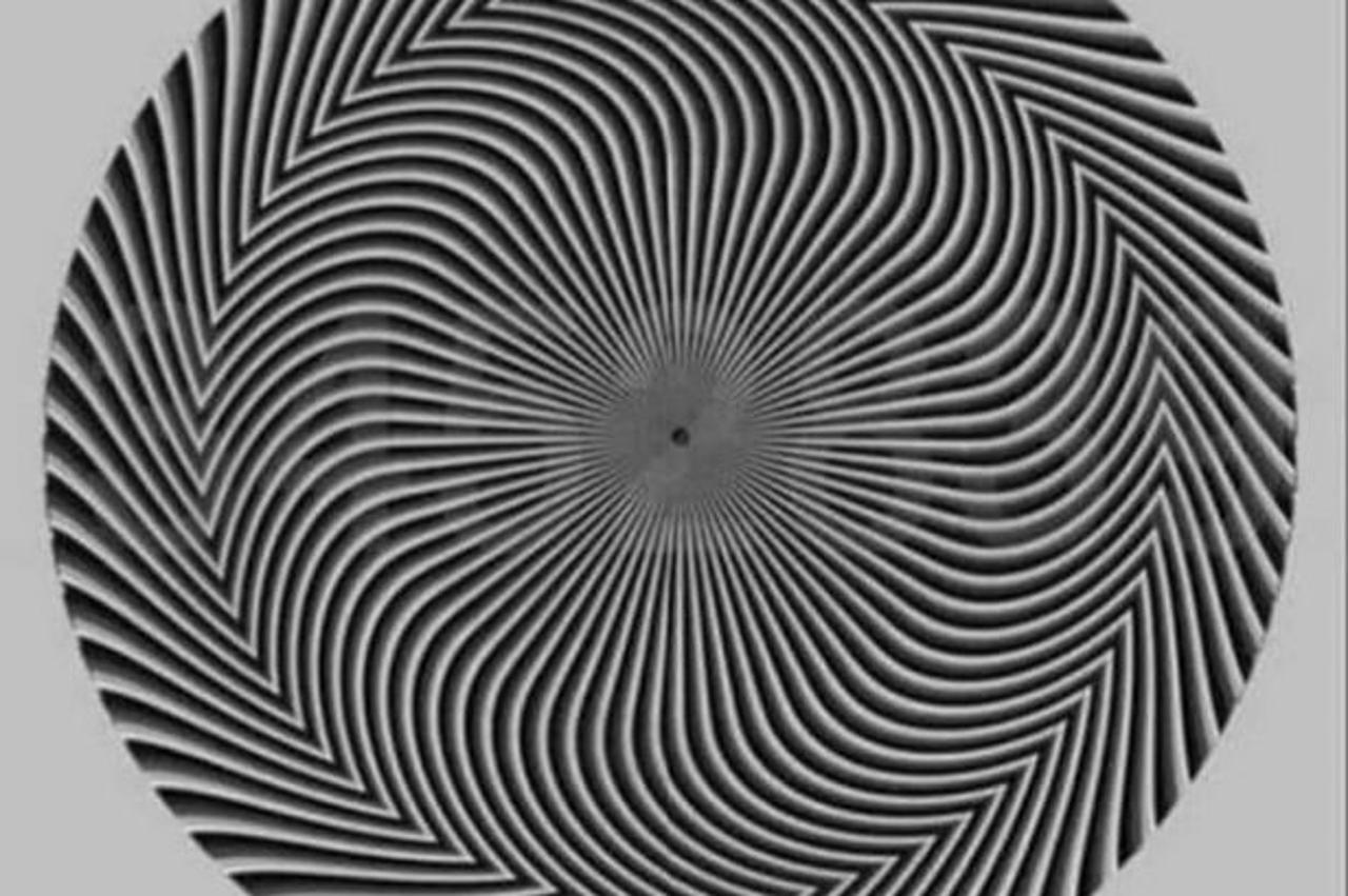 c755102d875415364fe9