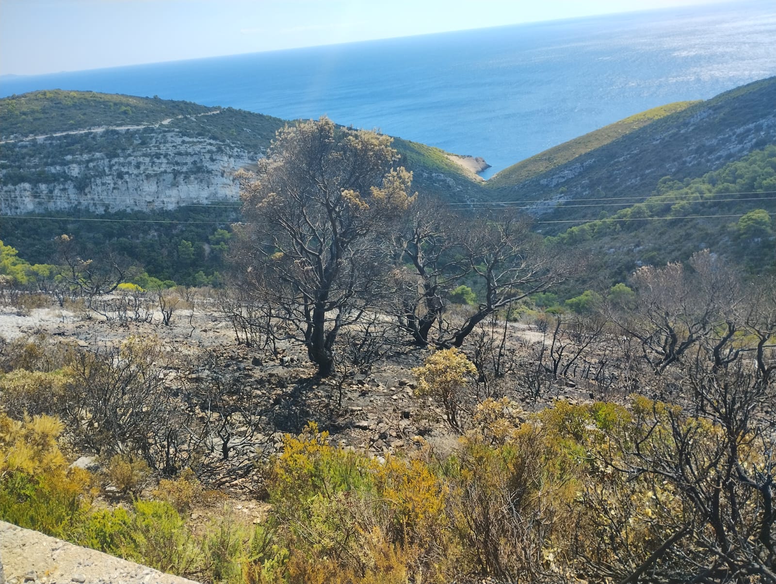 požar, vis, vatrogasci
