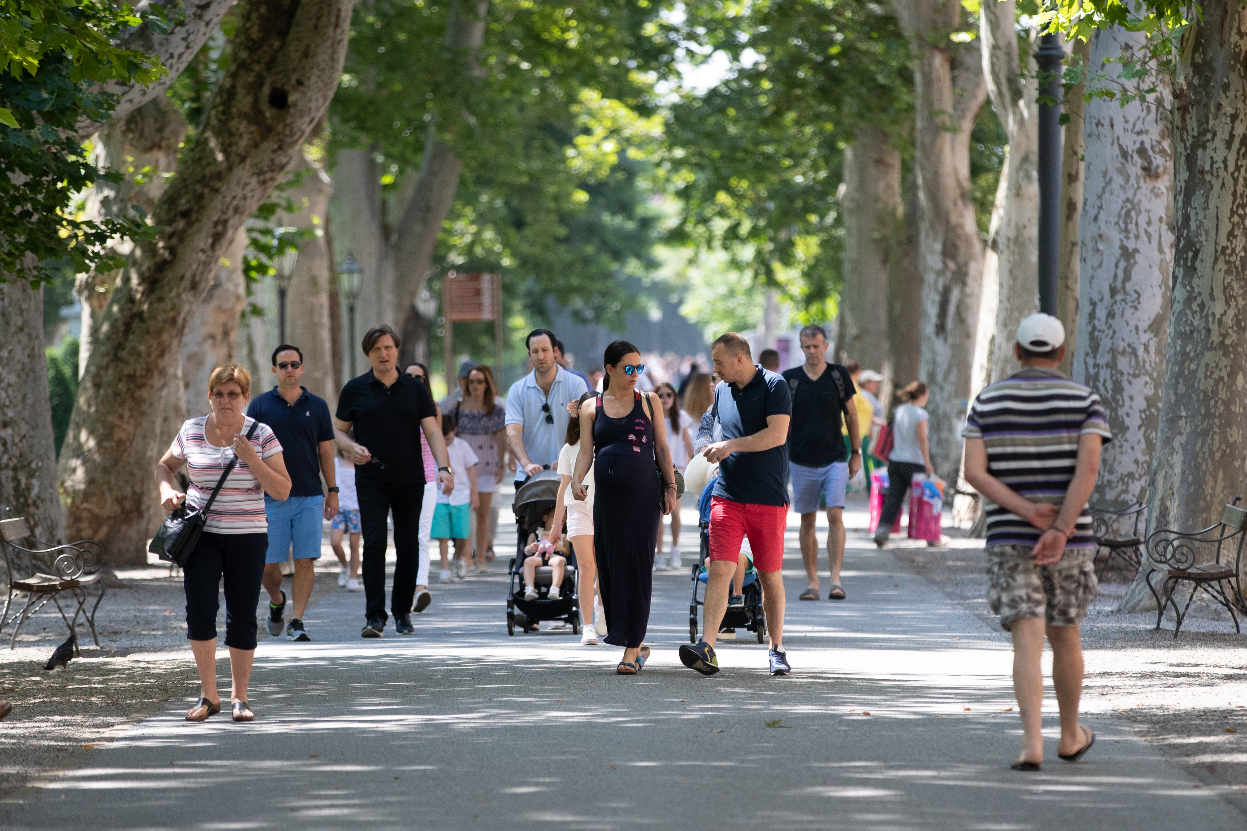 setnja, zagreb, mladi