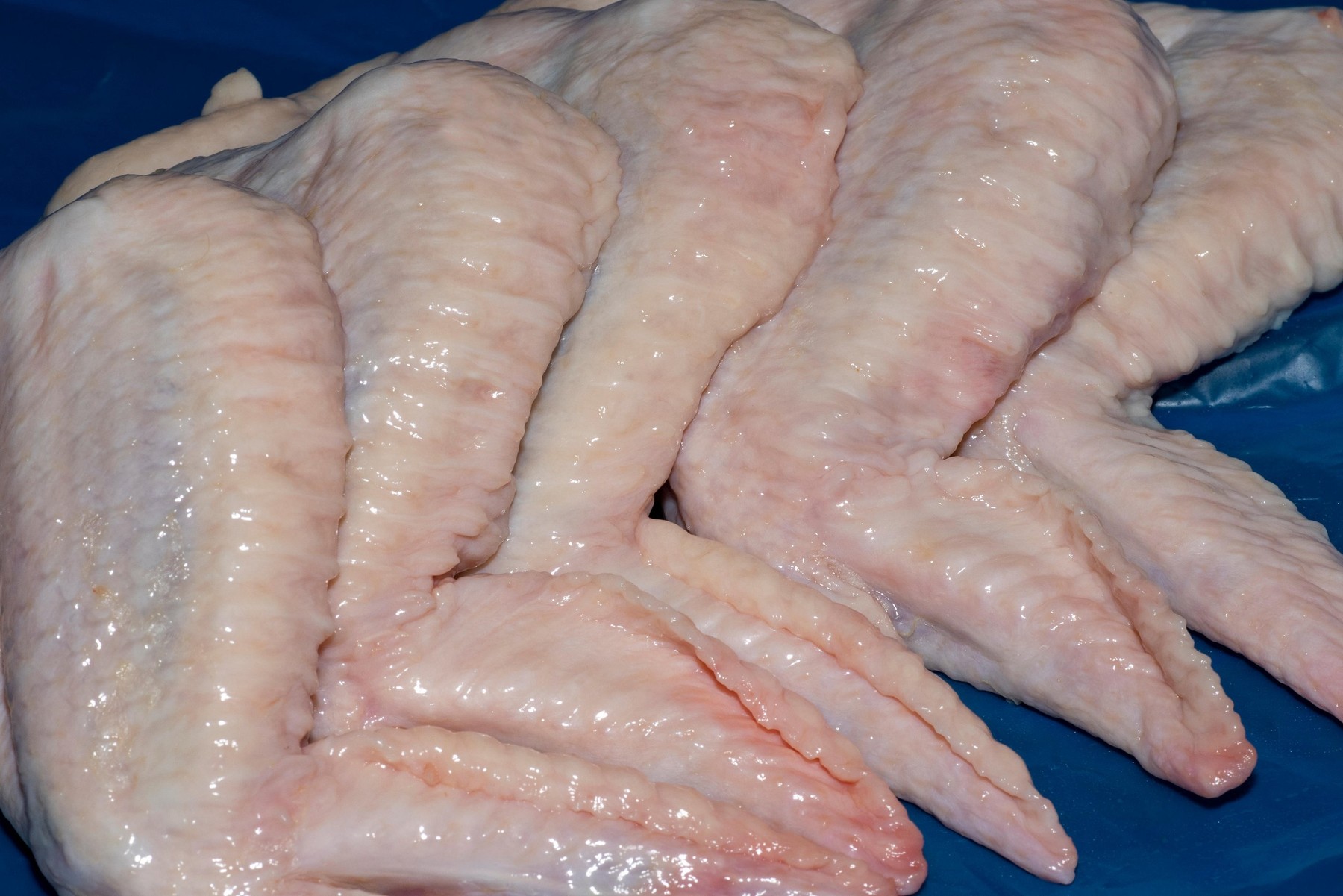 Raw uncooked chicken wings.