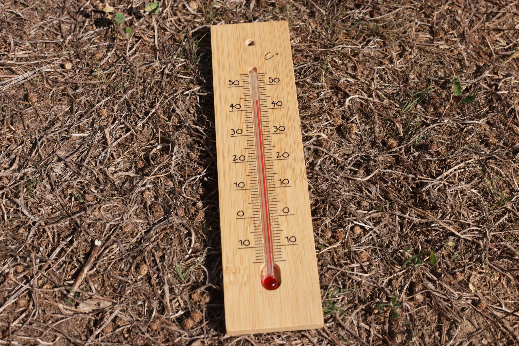 profimedia-0802051297