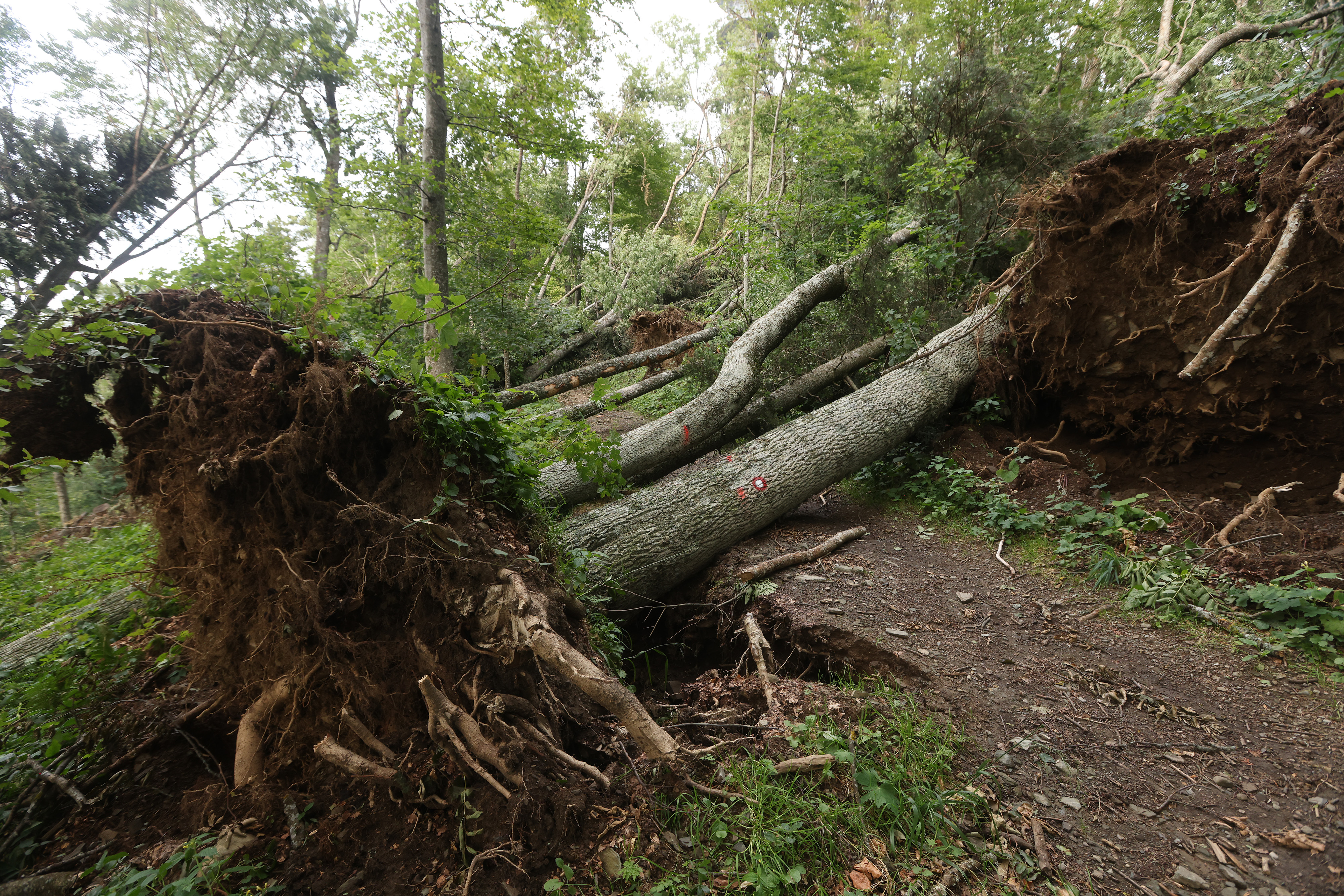 Dok radnici uklanjaju posljedice od nevremena, građani spas od sparine potražili na Sljemenu