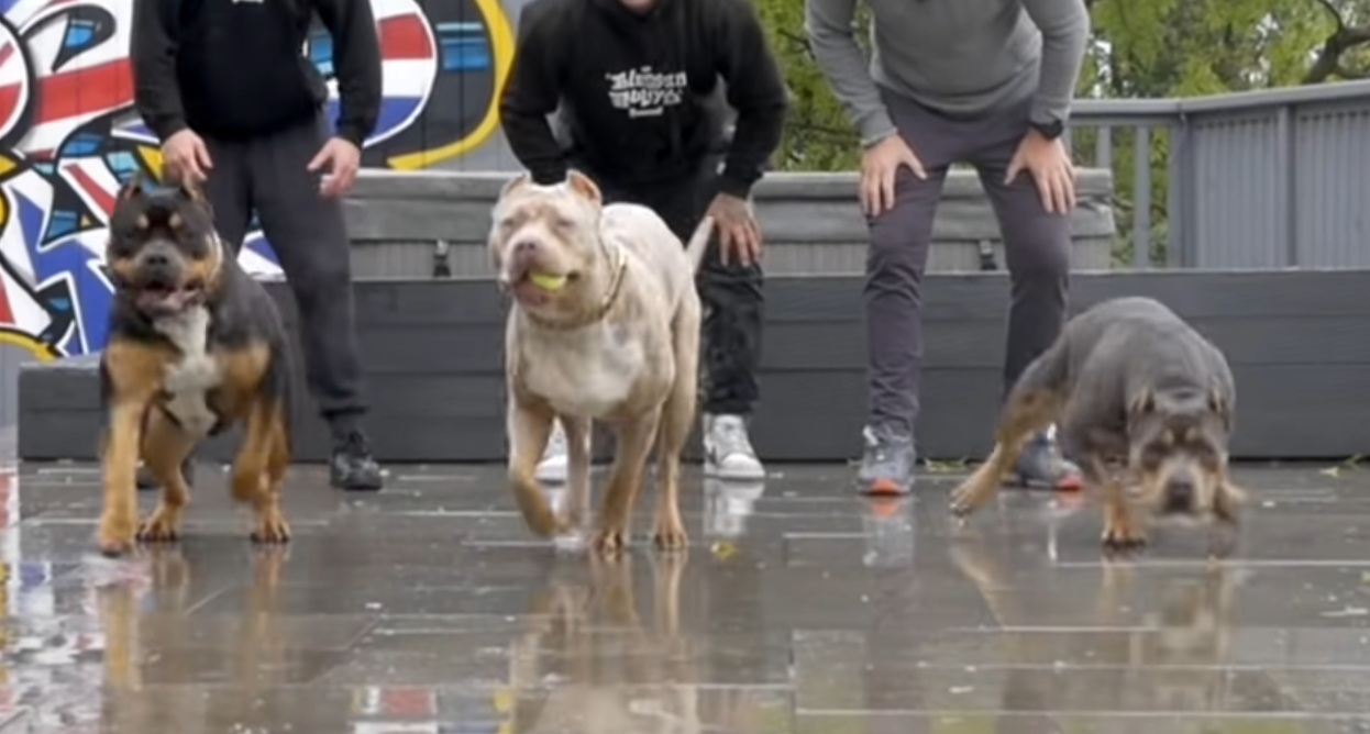 Snimka zaslona 2023-09-15 143504