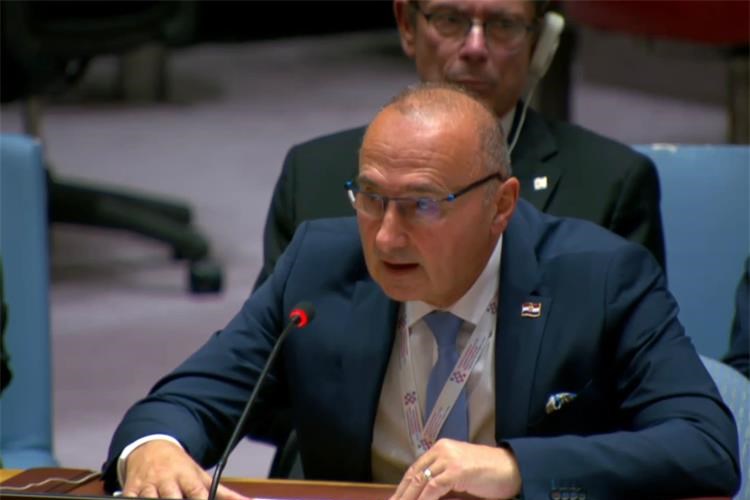 gordan grlić radman