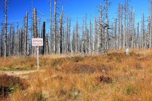 Attention state border