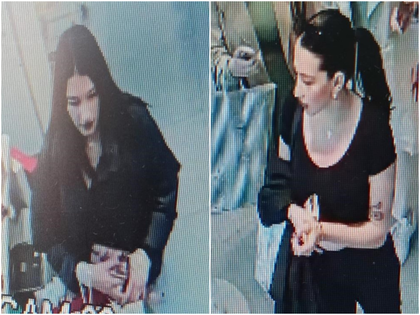 Collage Maker-26-Sep-2023-11-40-AM-8056