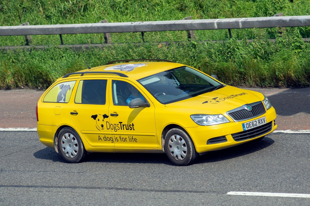 'The Dogs Trust Charity' 2013 koda Octavia S TDI CR S-A Vehicular traffic moving vehicles, cars driving vehicle on UK roads, motors, motoring on the M6 motorway highway network.