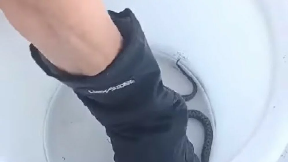 62642871-pronadjena-zmija