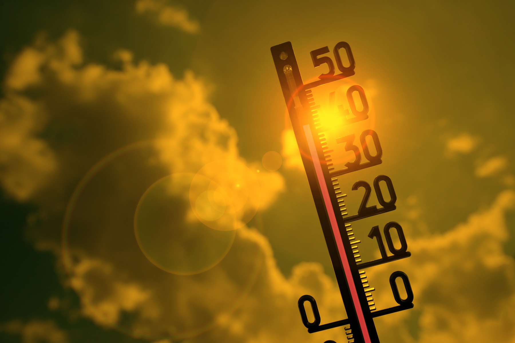 profimedia-0553067797