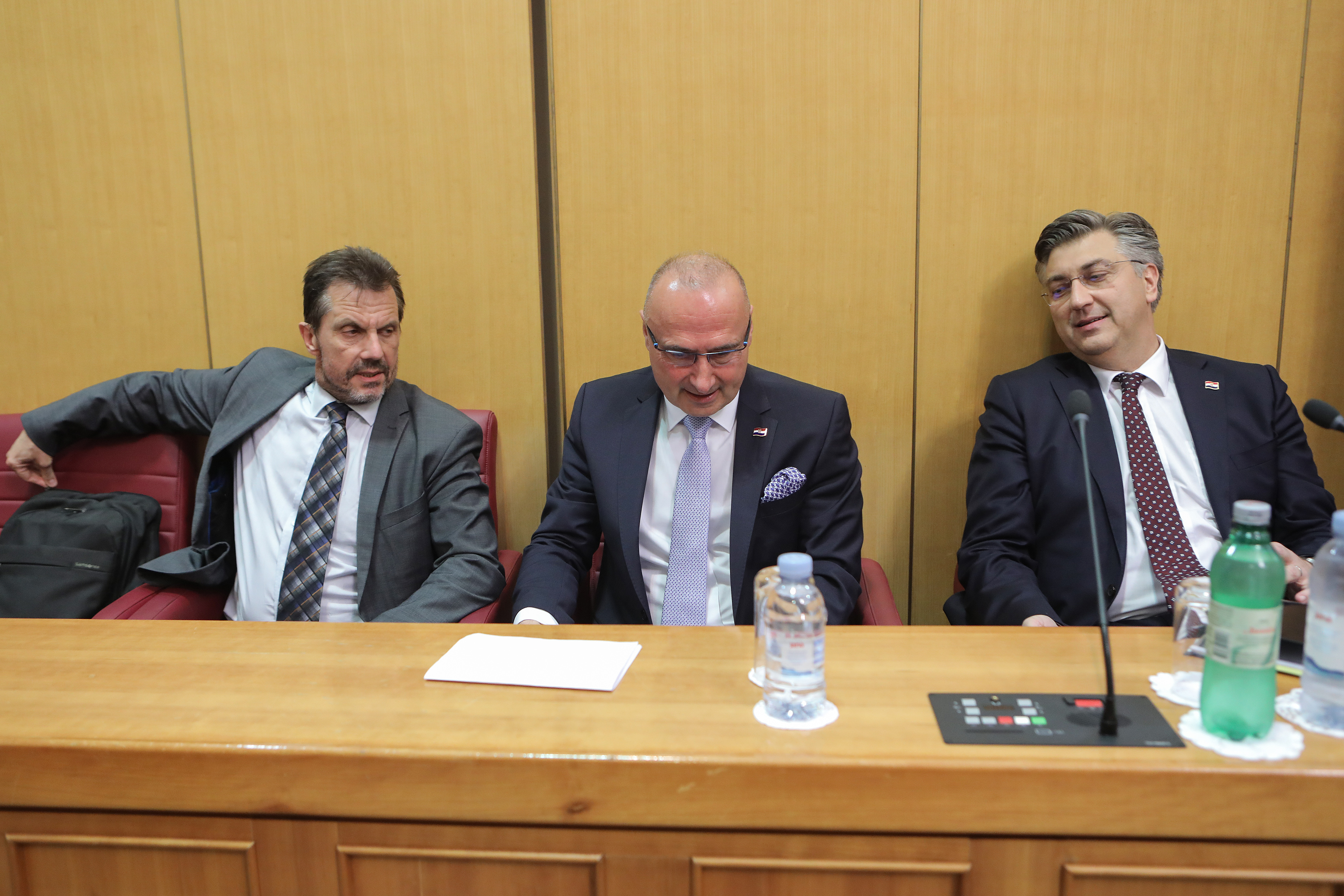 Gordan Grlić Radman