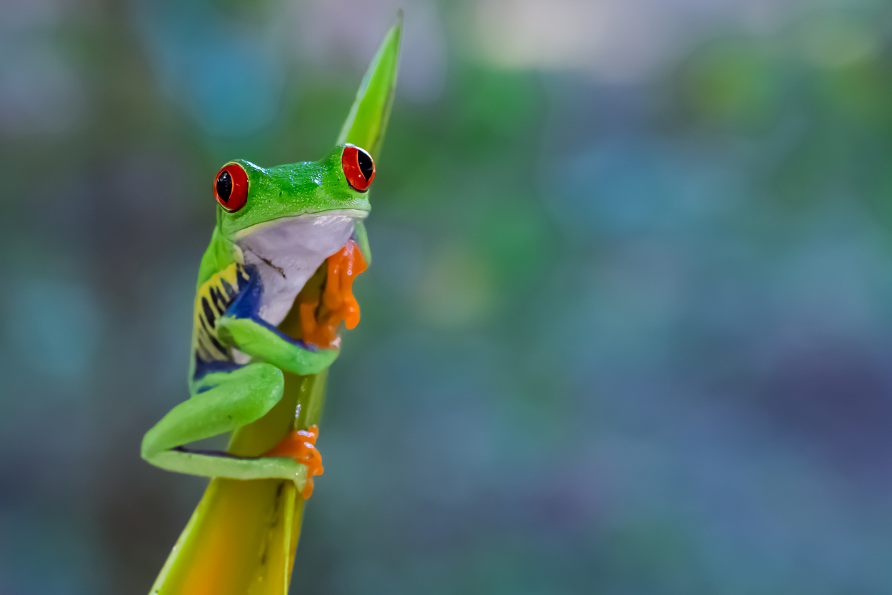 profimedia-0805668630