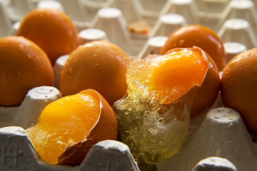 Frozen Eggs