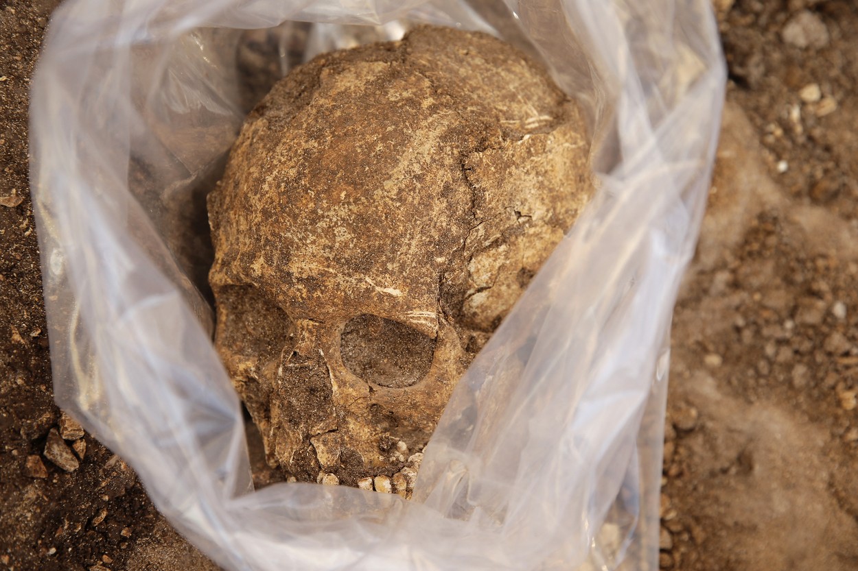 profimedia-0303983310