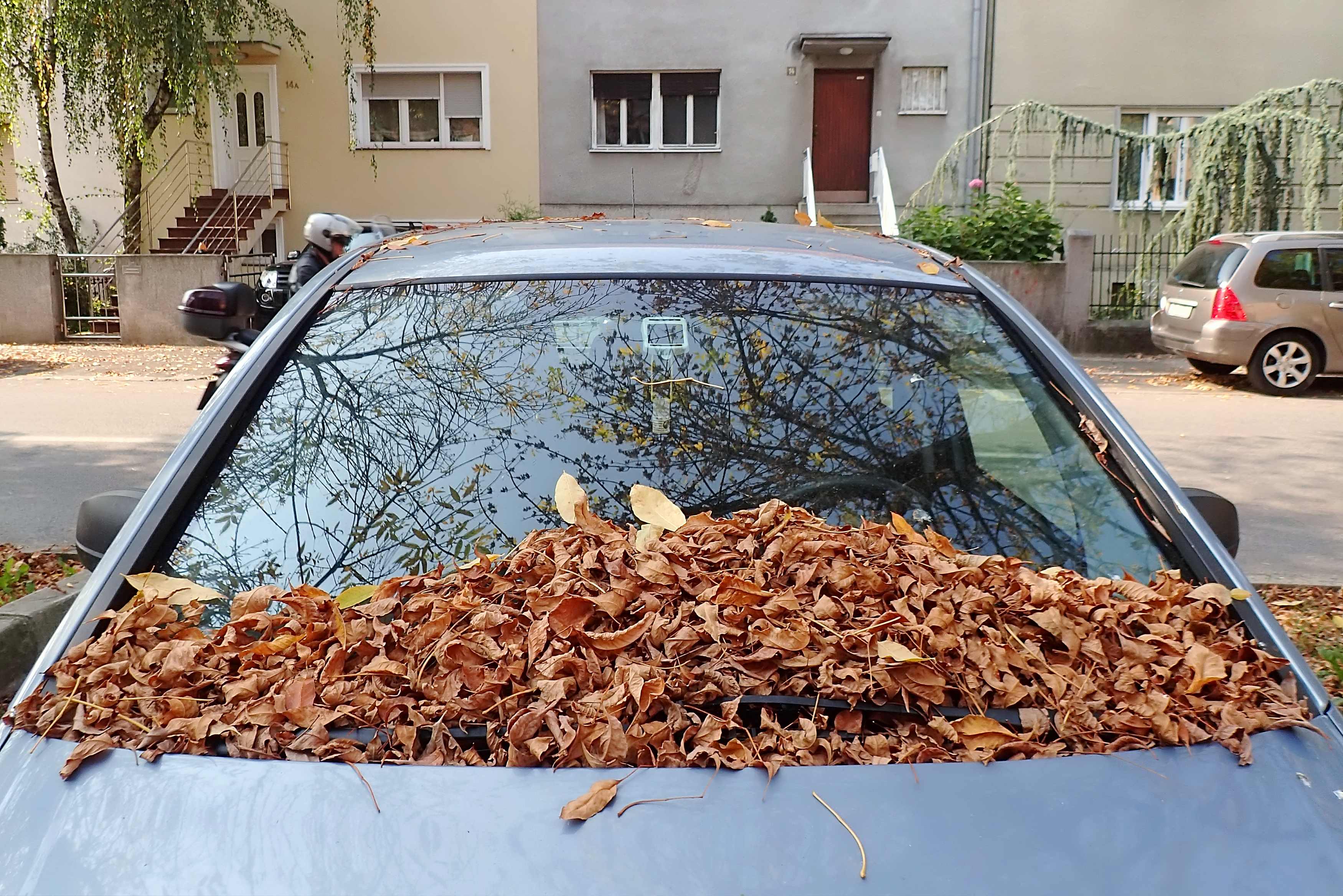 Zagreb: Lišće jesenjih boja prekrilo ulice i automobile
