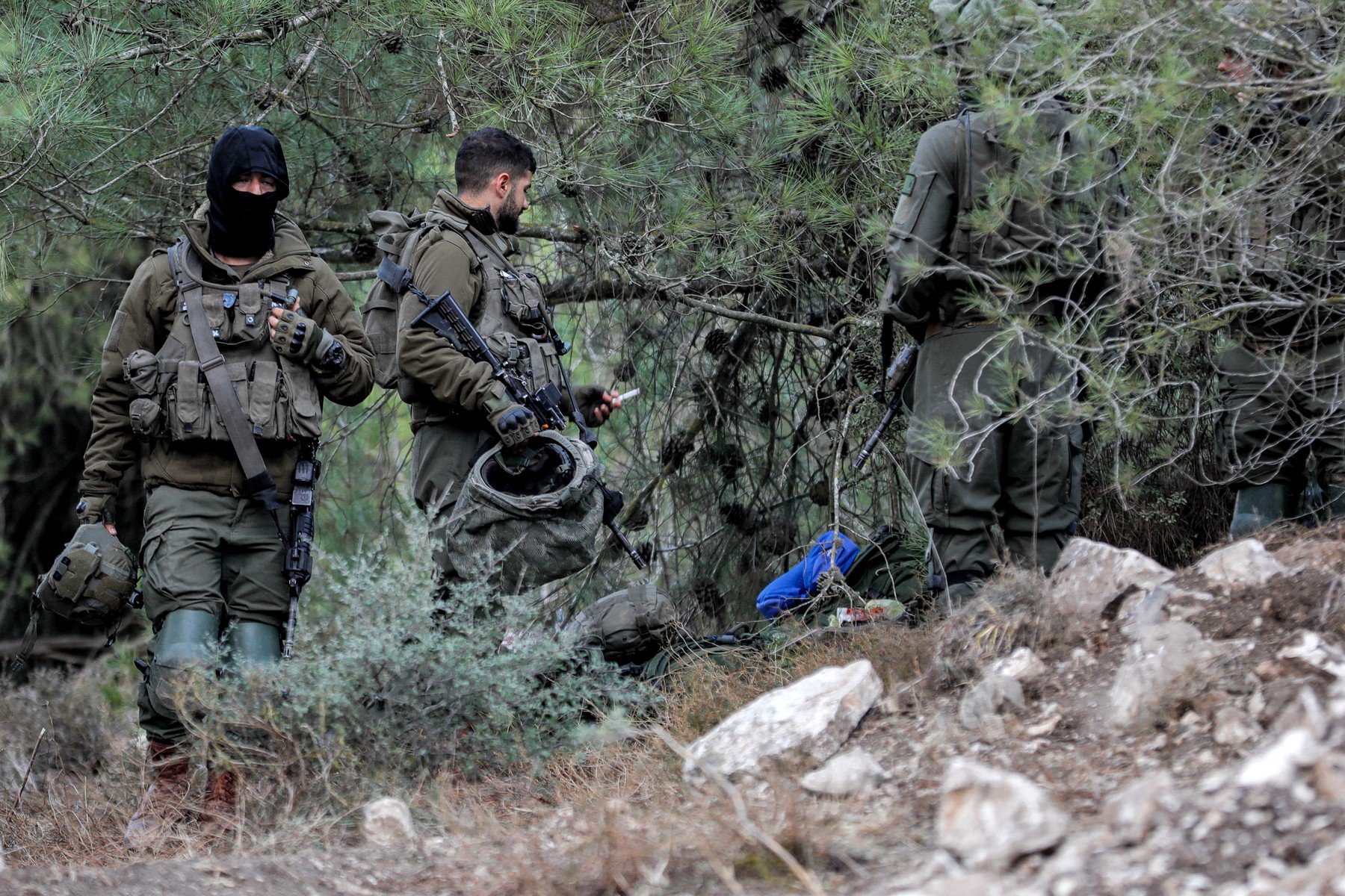 profimedia-0818650333