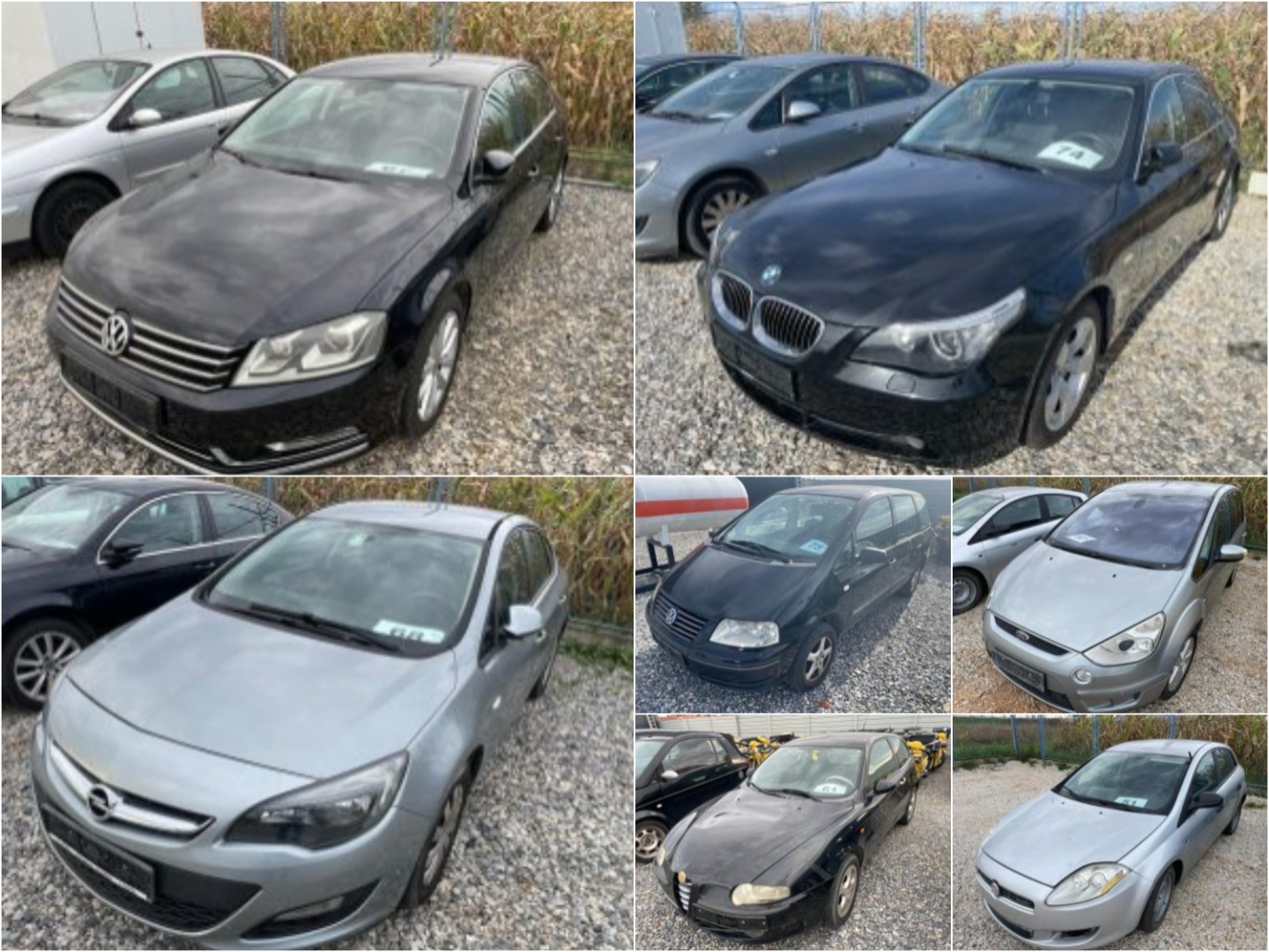 MixCollage-08-Nov-2023-01-52-PM-5913