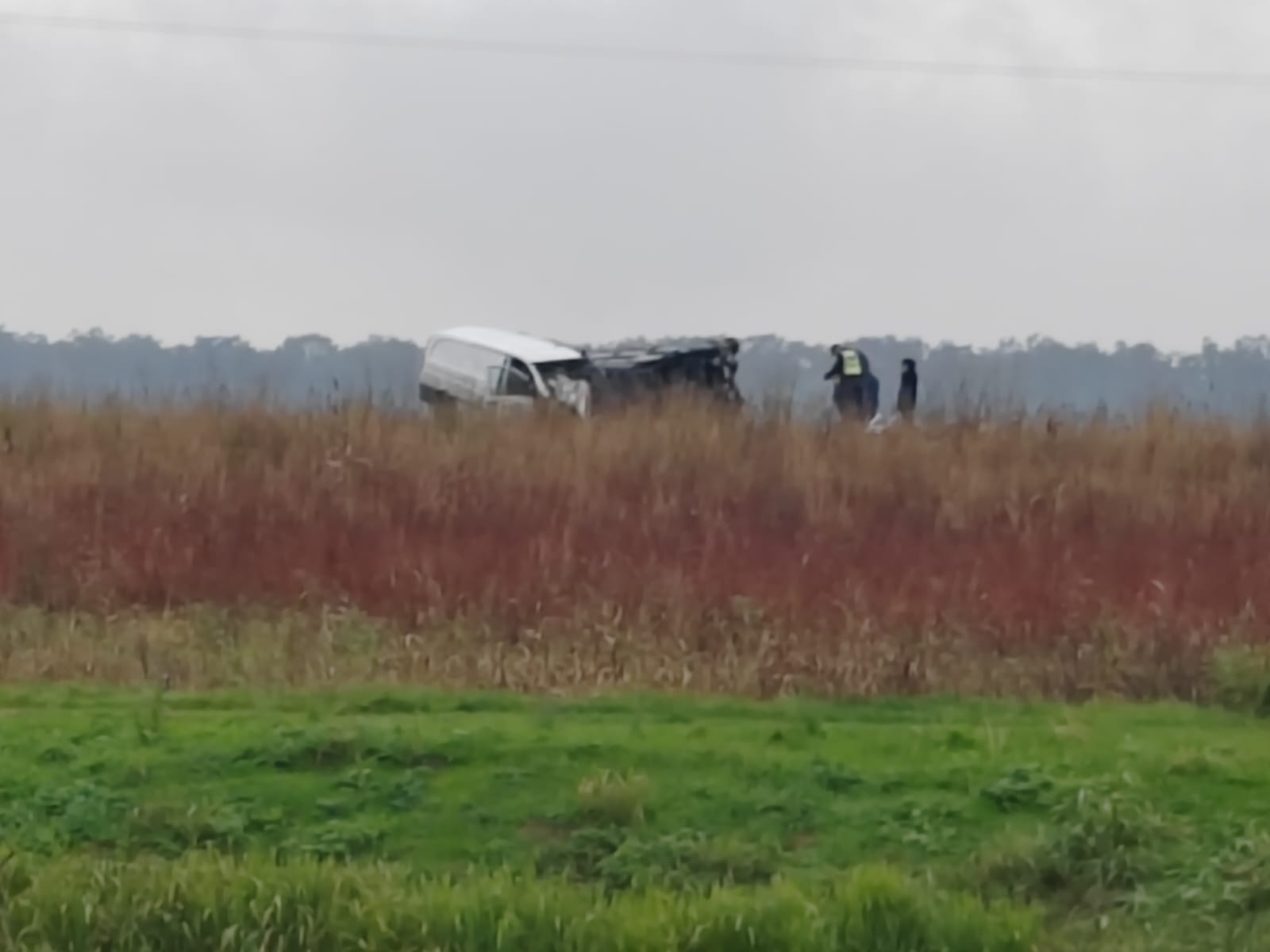 WhatsApp Image 2023-11-11 at 11.31.33