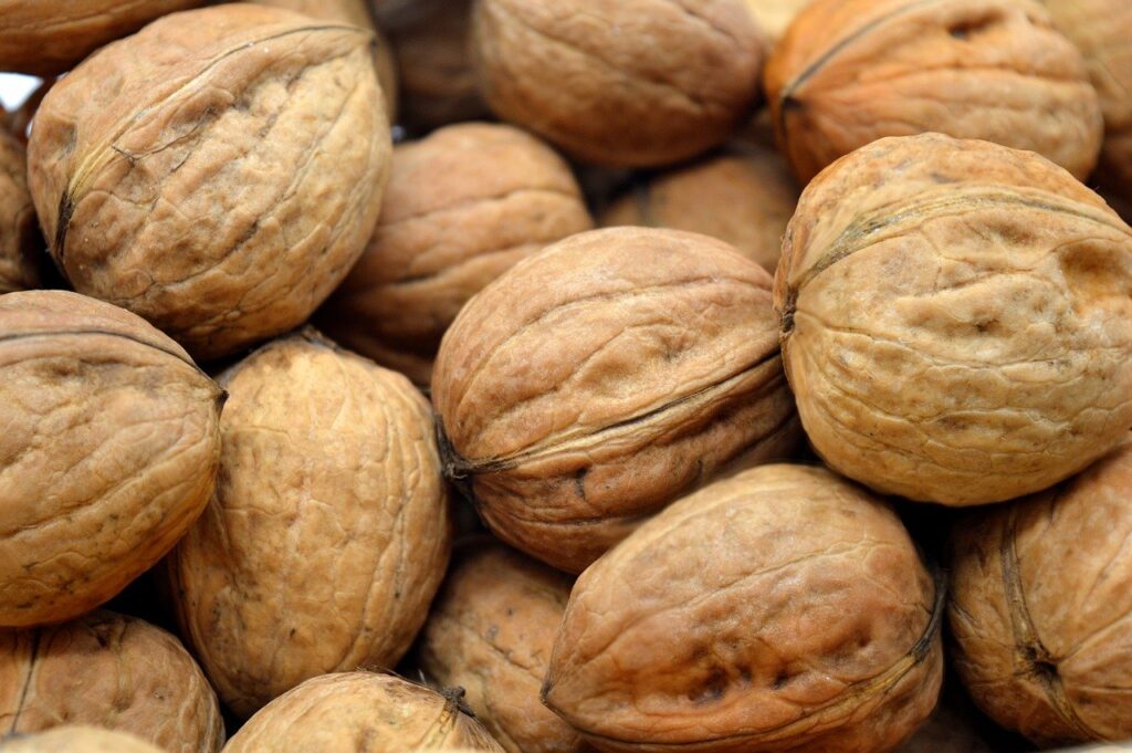1699965997-walnuts-8316999_1280-1024x681.jpg
