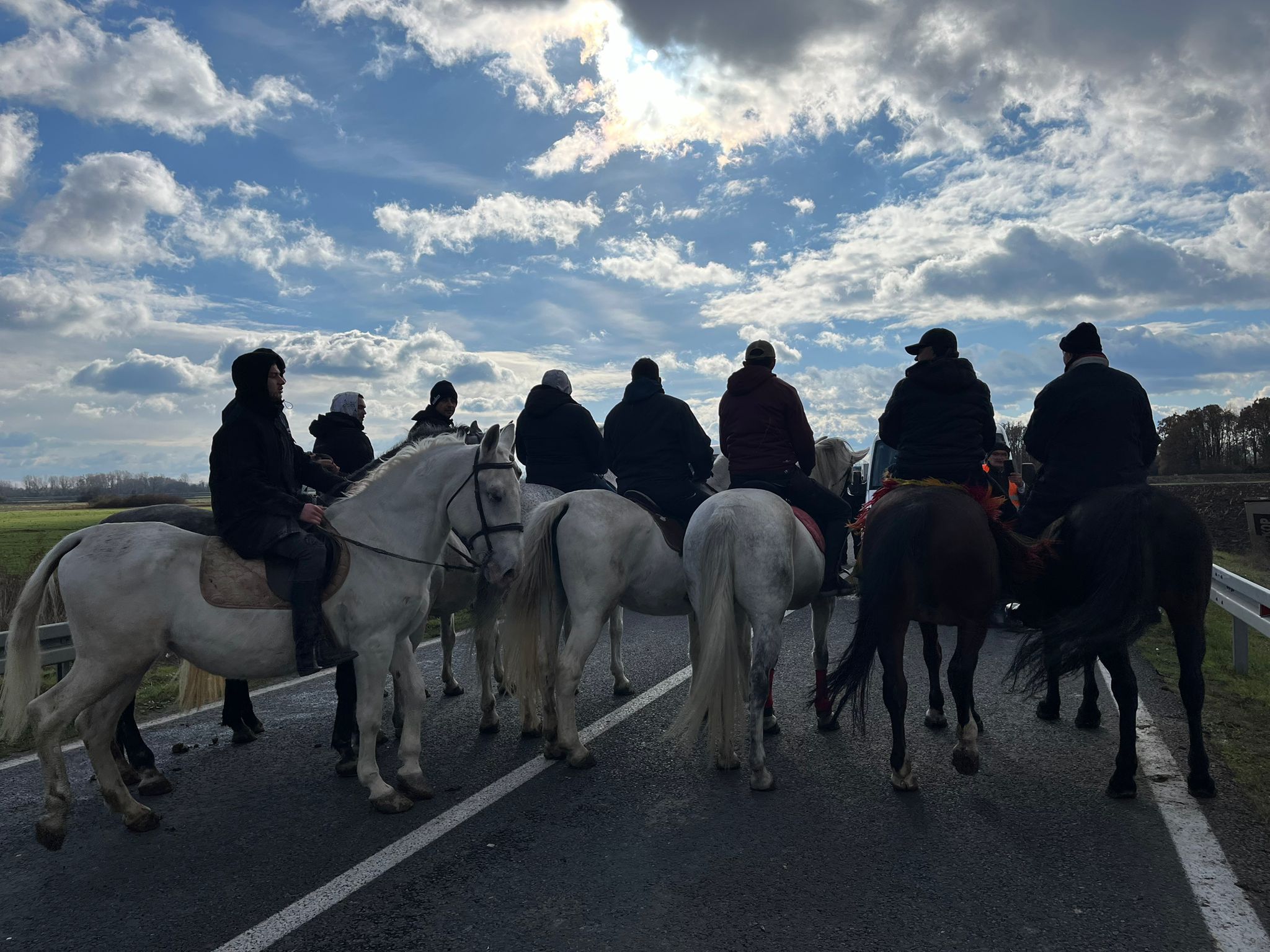 N1 / Nataša Vidaković