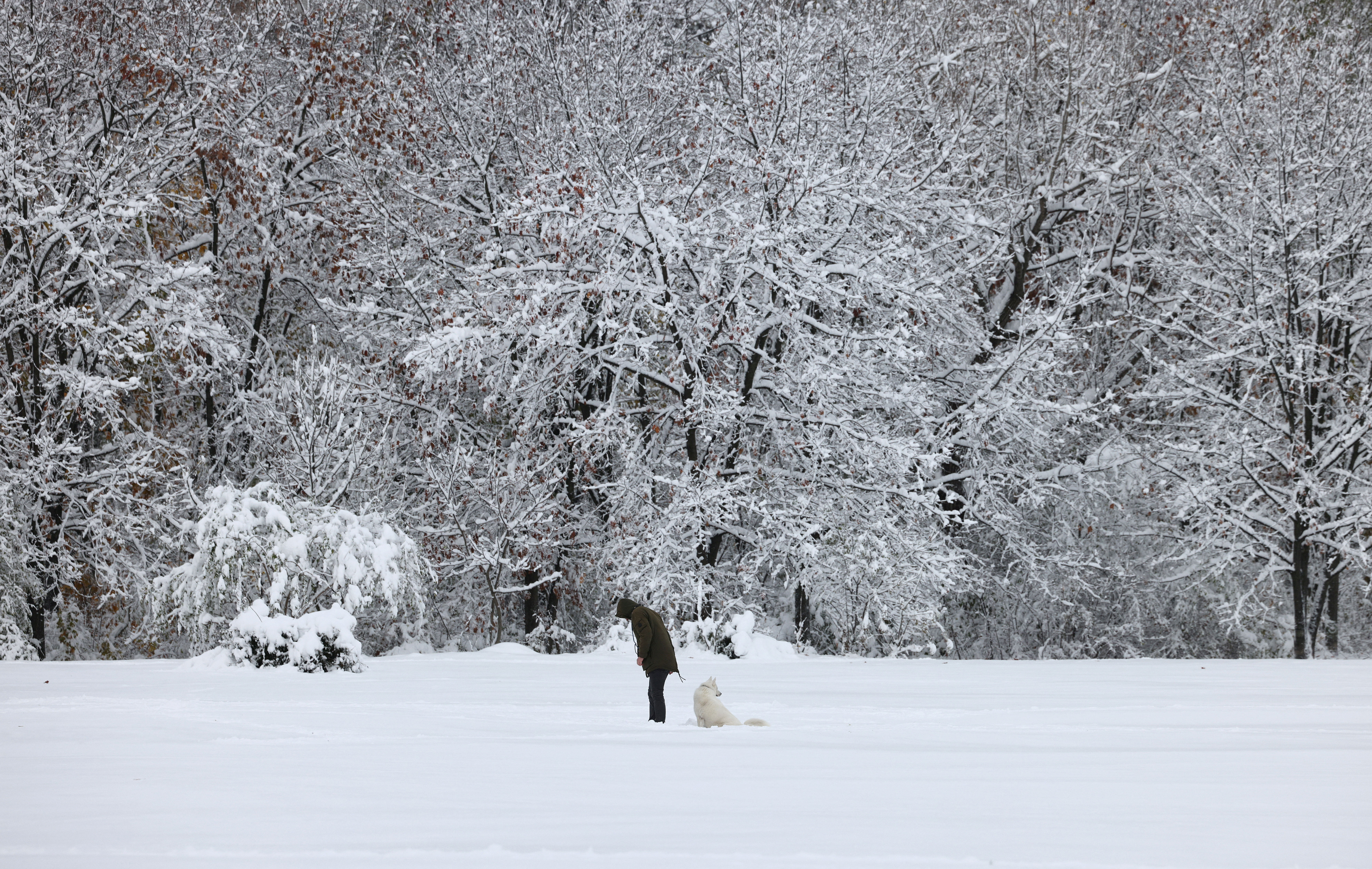 sofia, snijeg, bugarska